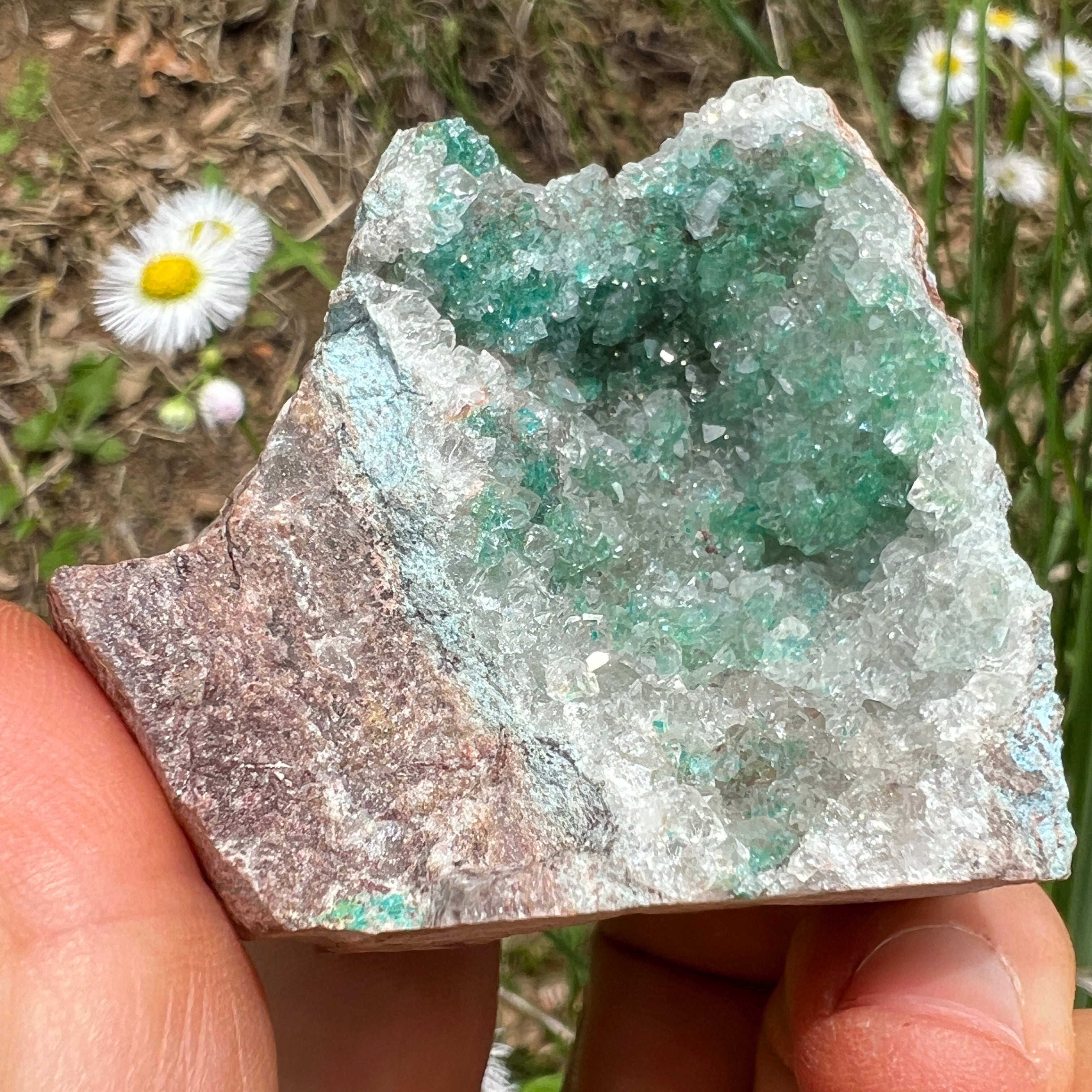 Dioptase Crystal - 023