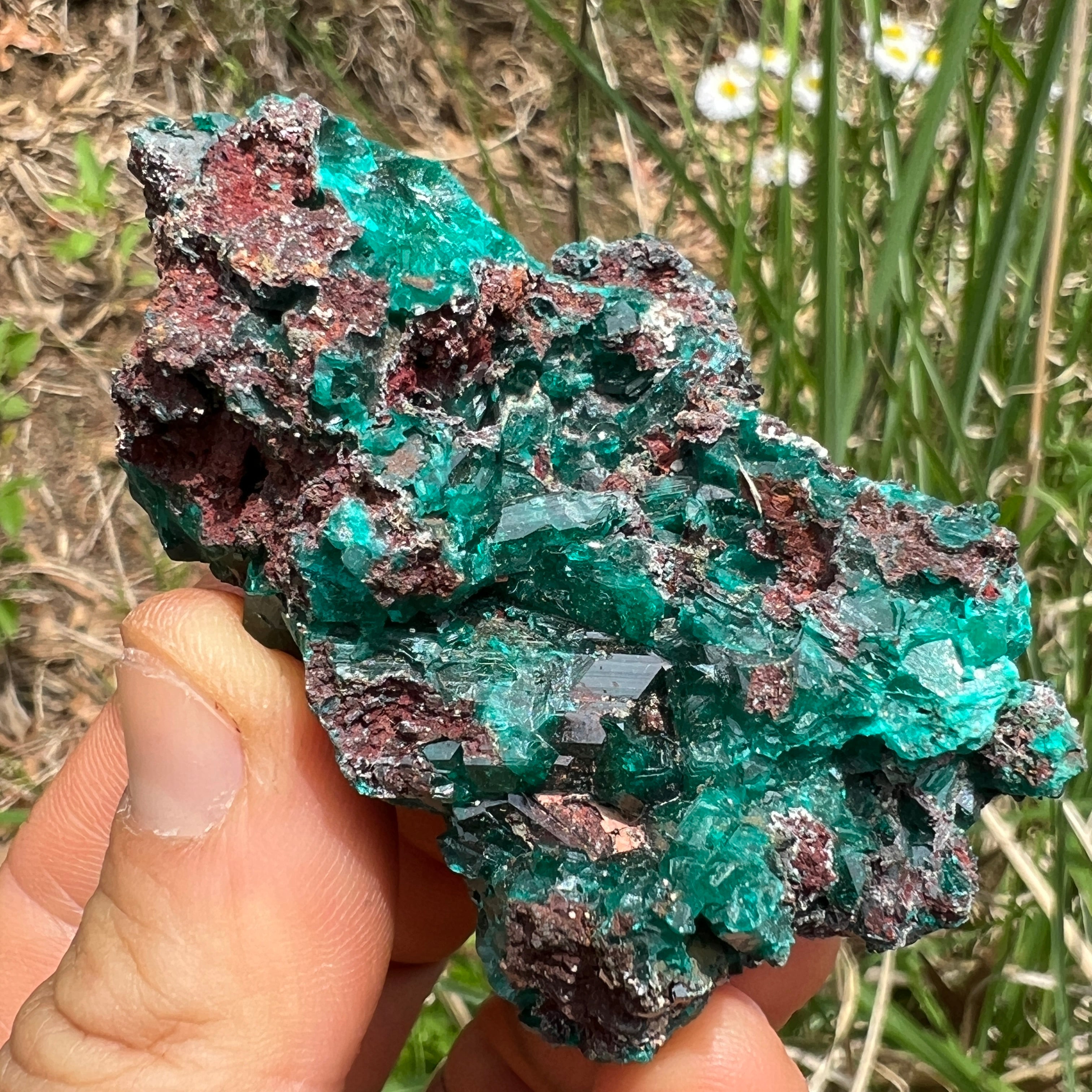 Dioptase Crystal - 025