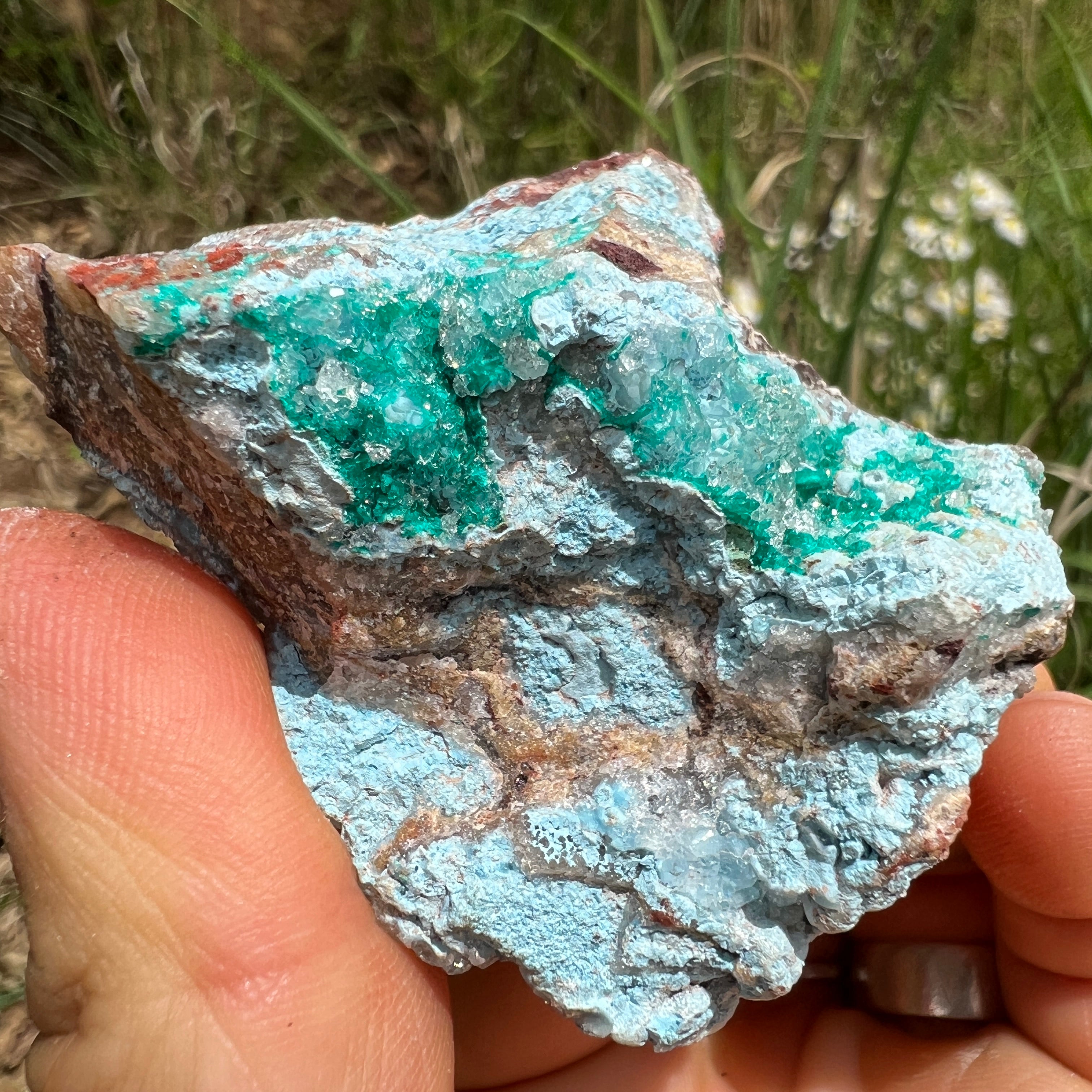 Dioptase Crystal - 031