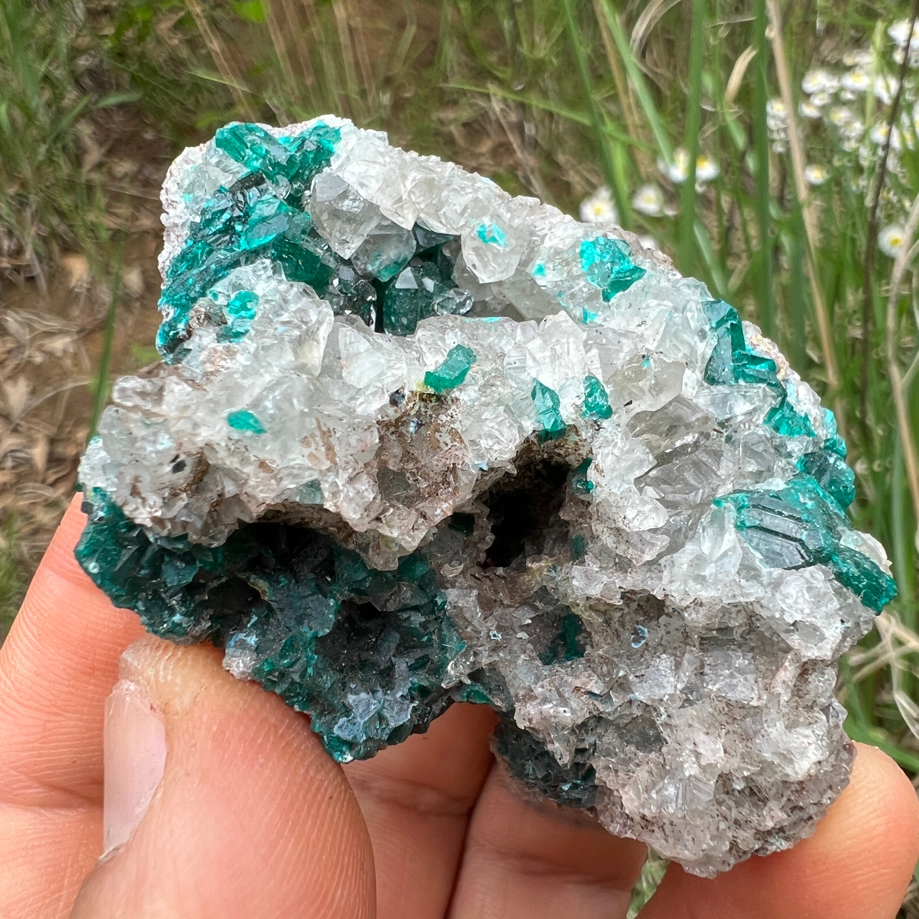 Dioptase Crystal - 039