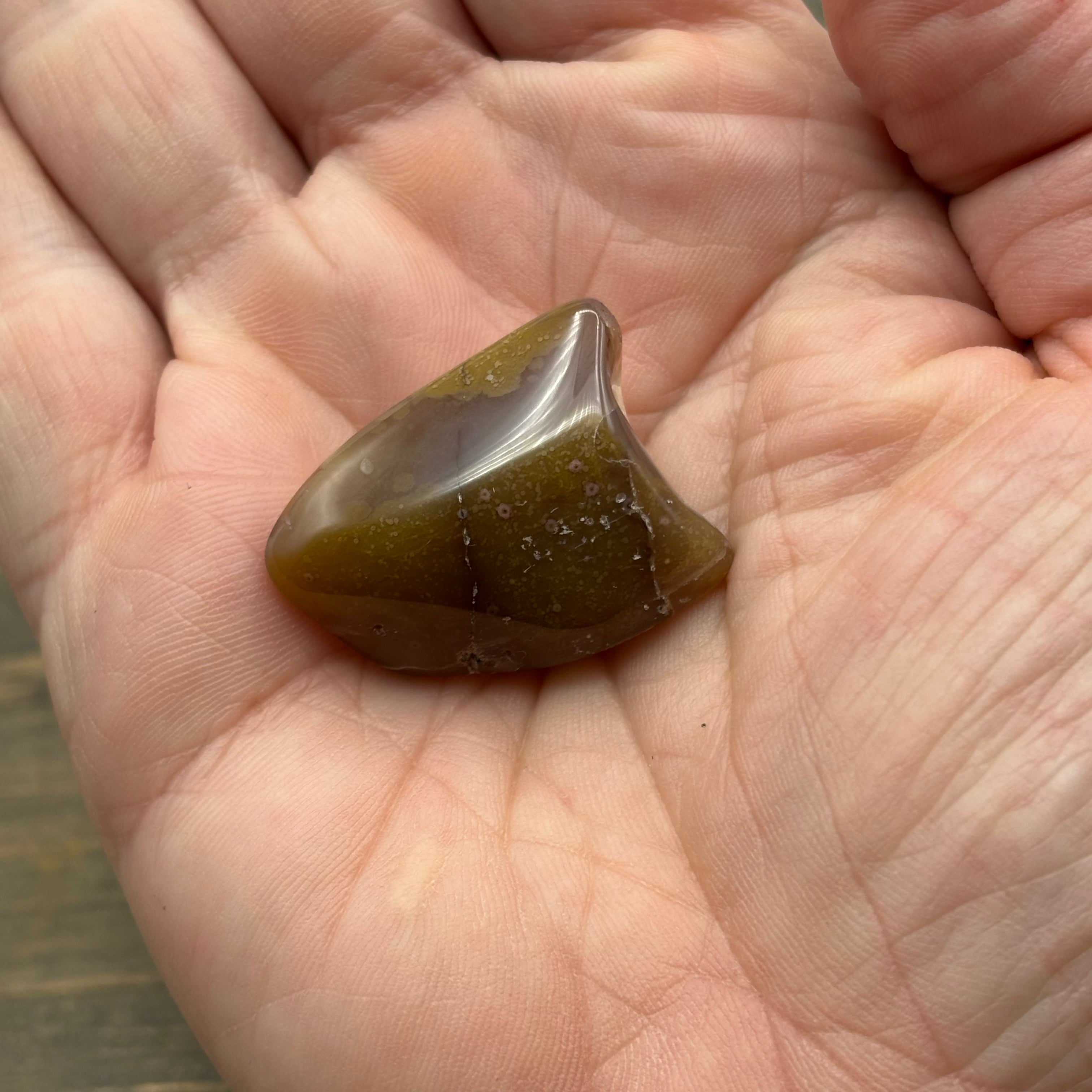 Laguna Agate - 277