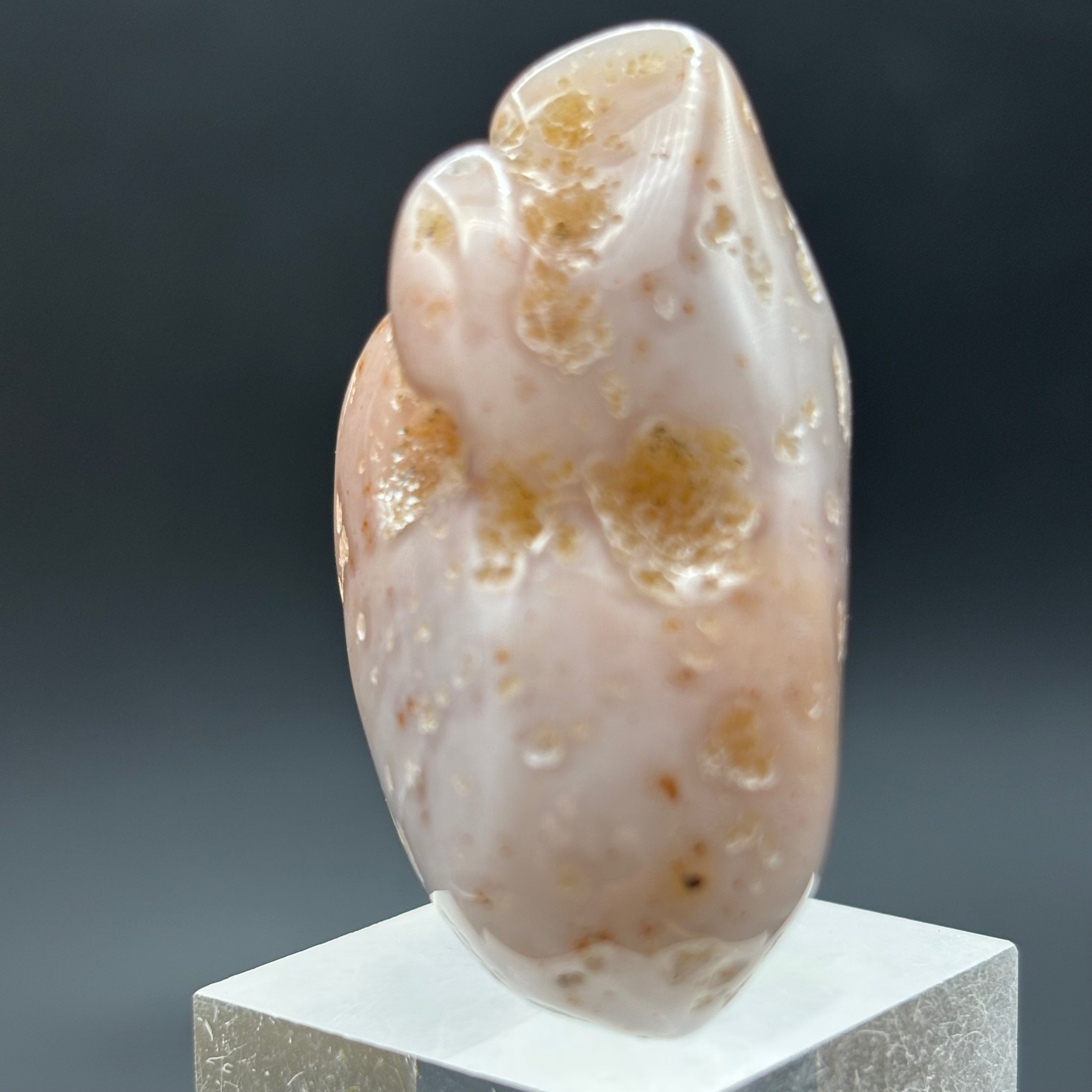 Laguna Agate - 279