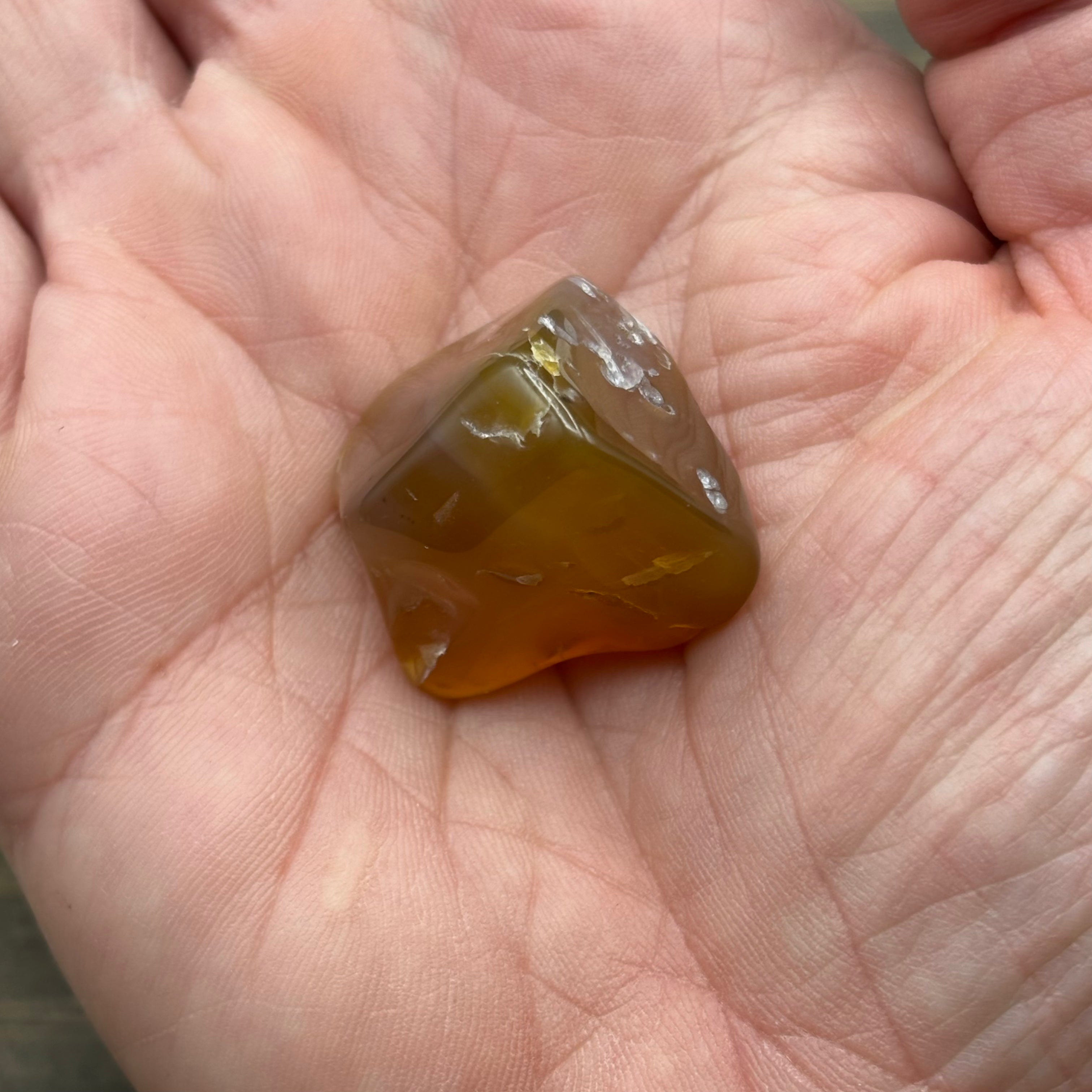 Laguna Agate - 286