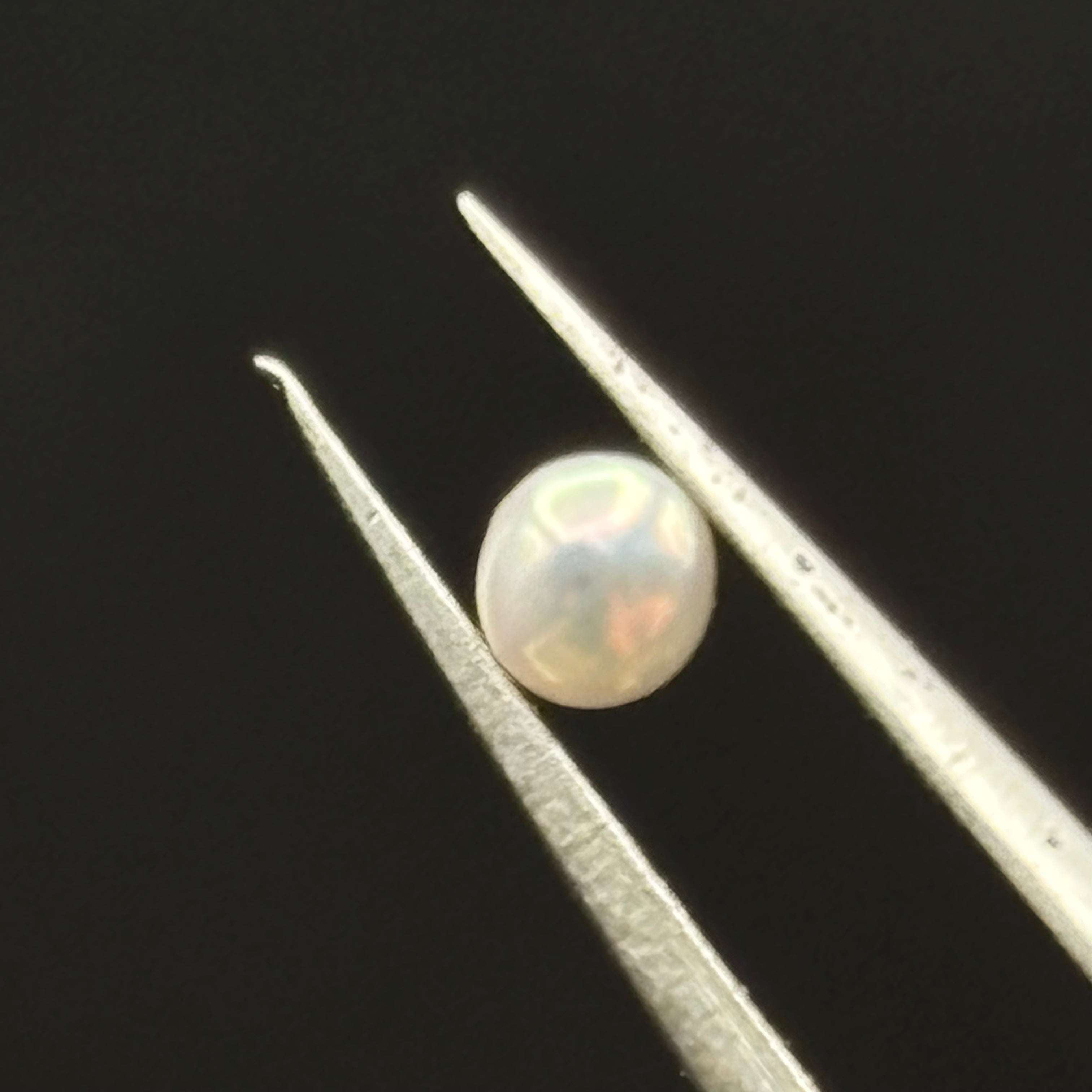 Wild Freshwater Pearl - 134