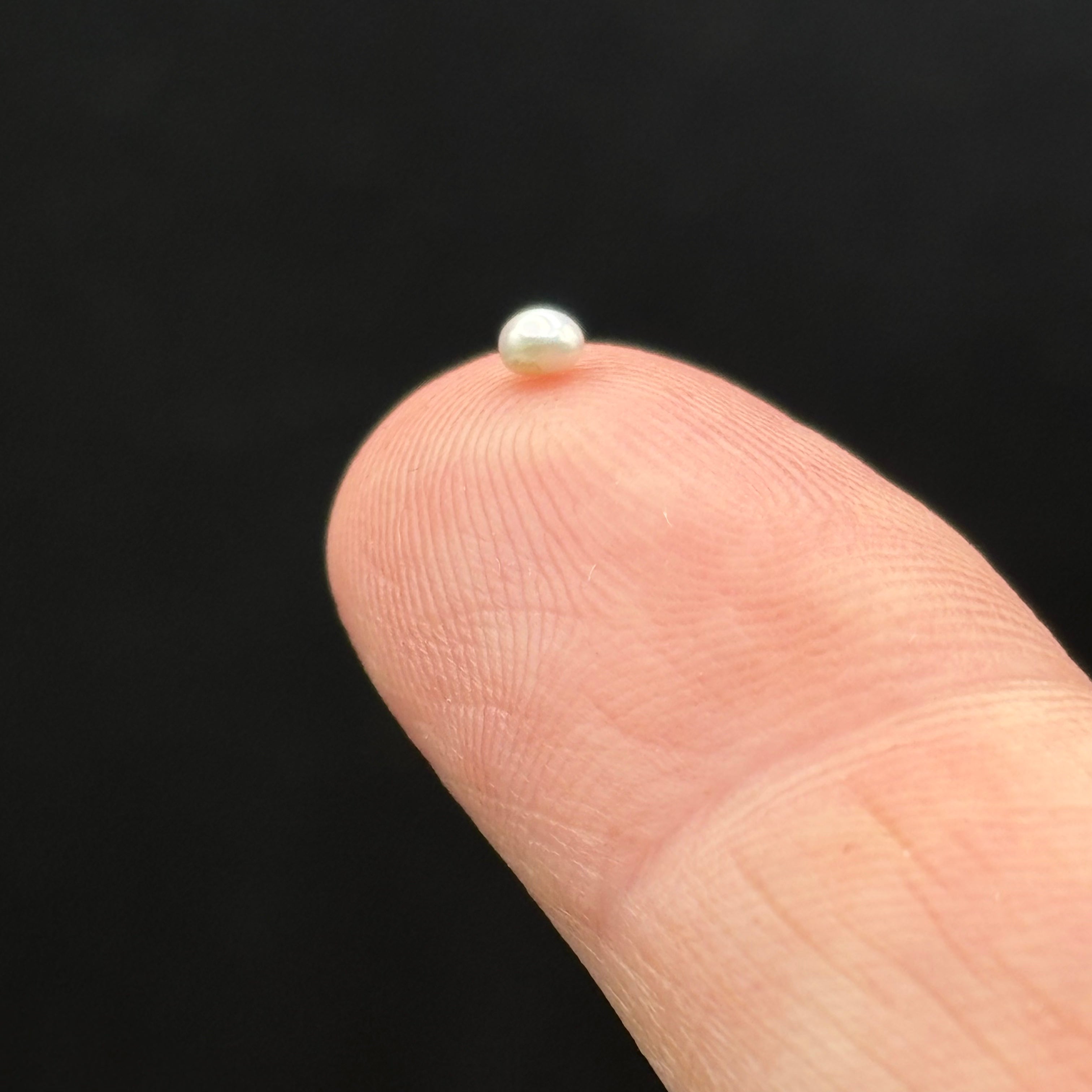 Wild Freshwater Pearl - 134
