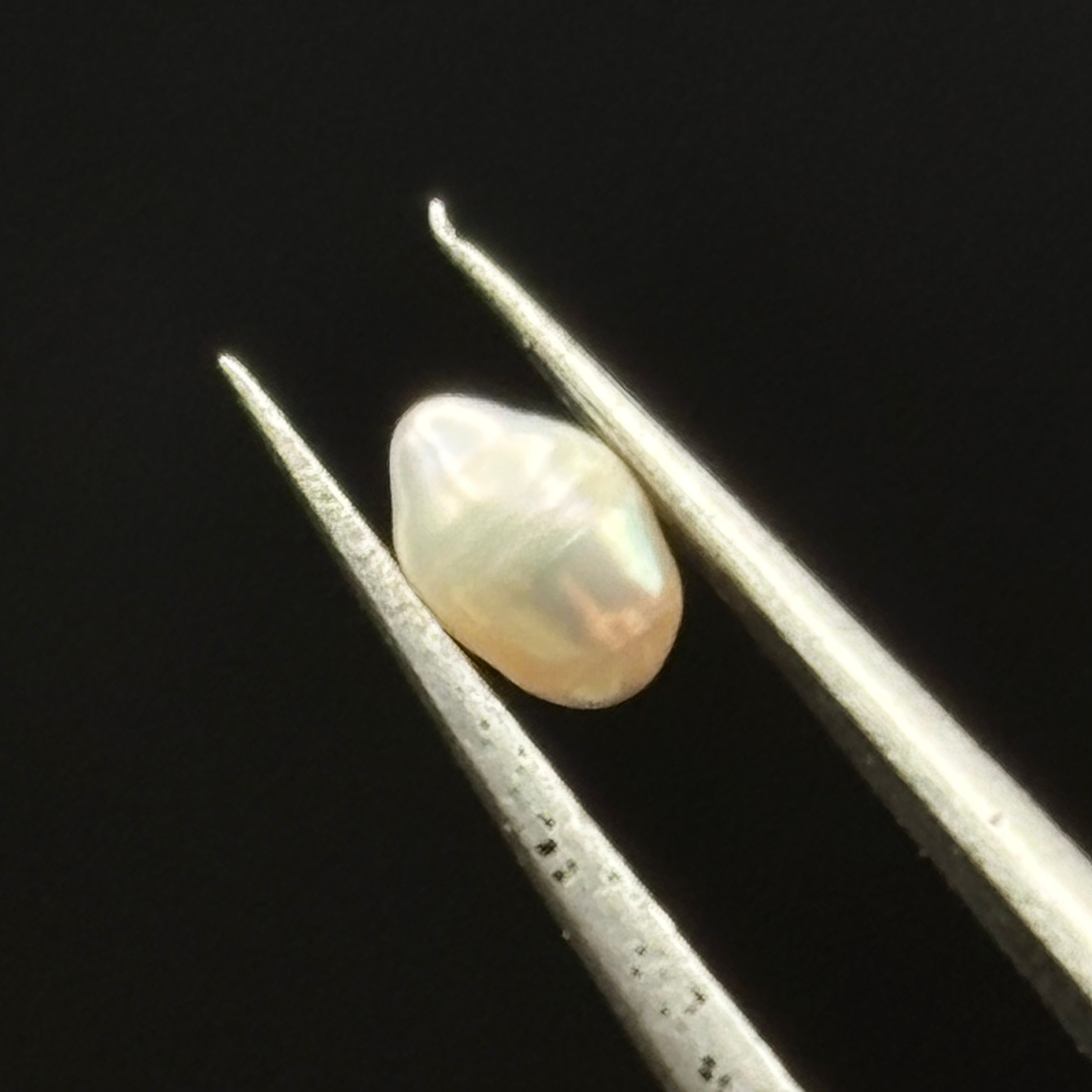 Wild Freshwater Pearl - 138