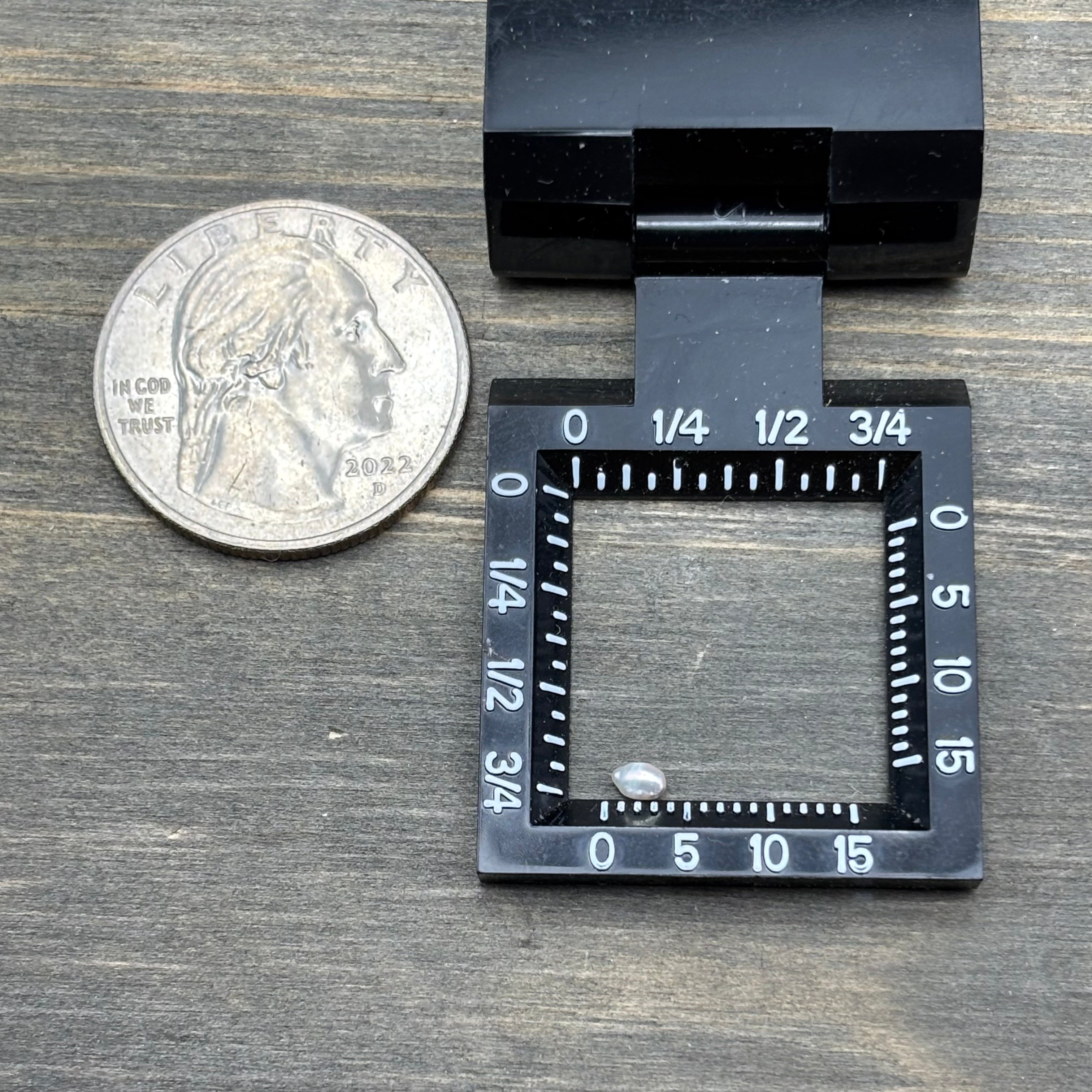 Wild Freshwater Pearl - 138