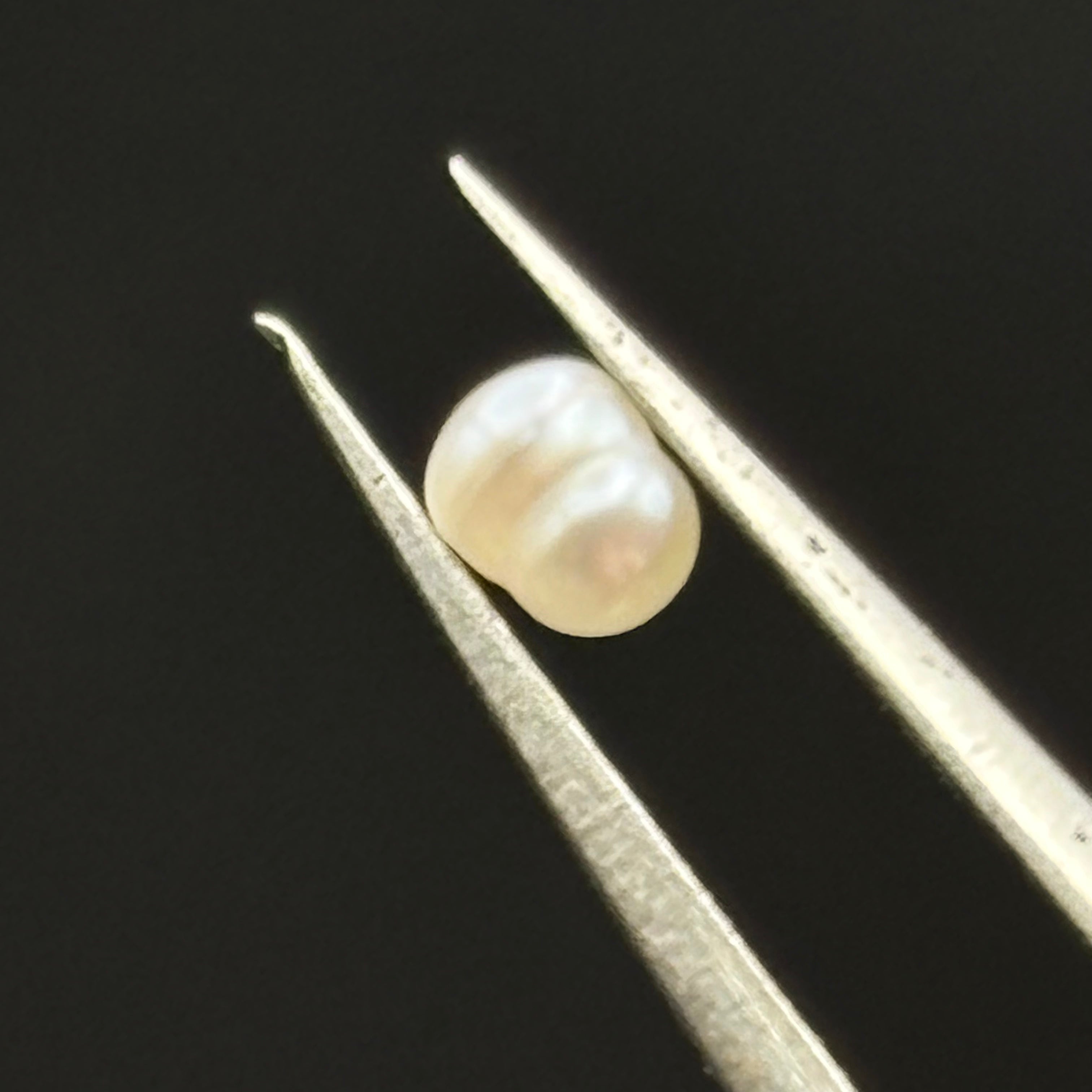 Wild Freshwater Pearl - 139