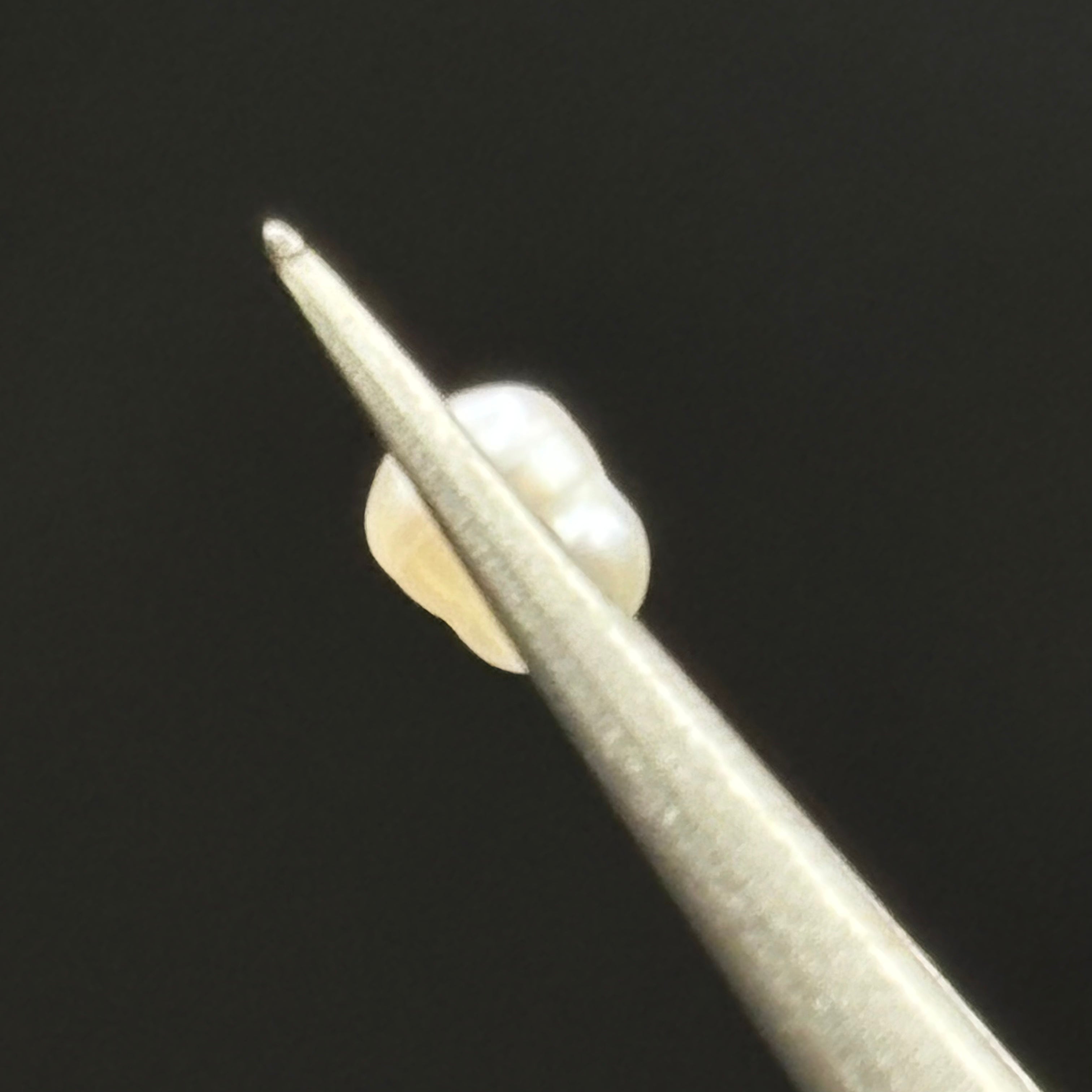 Wild Freshwater Pearl - 139