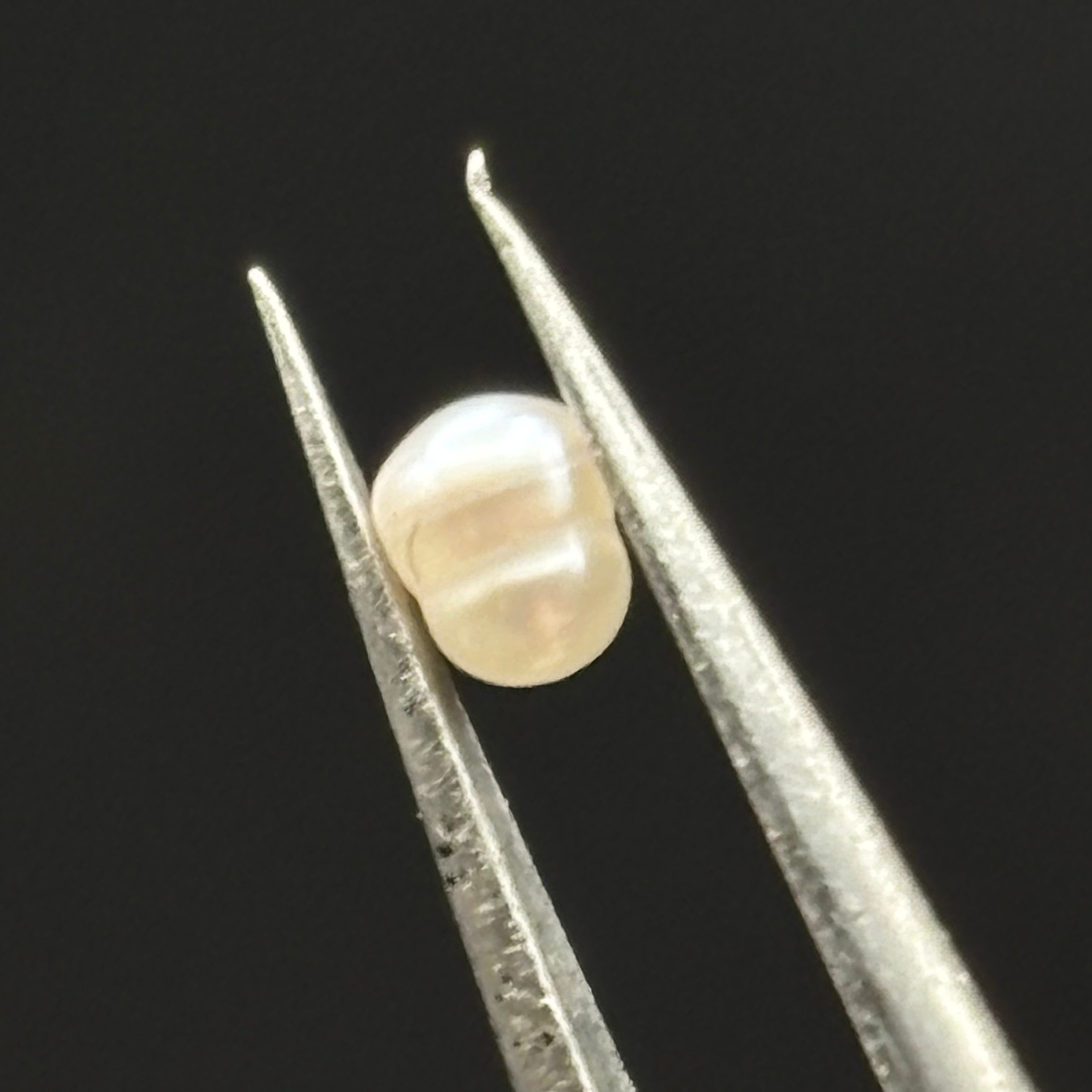 Wild Freshwater Pearl - 139