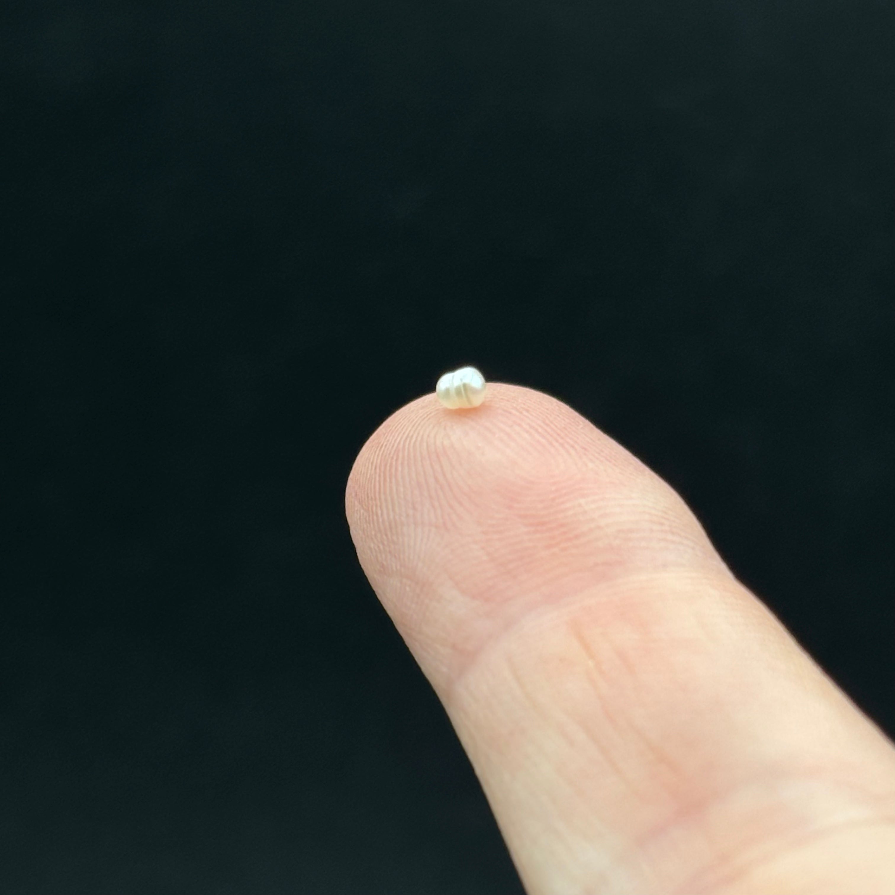 Wild Freshwater Pearl - 139