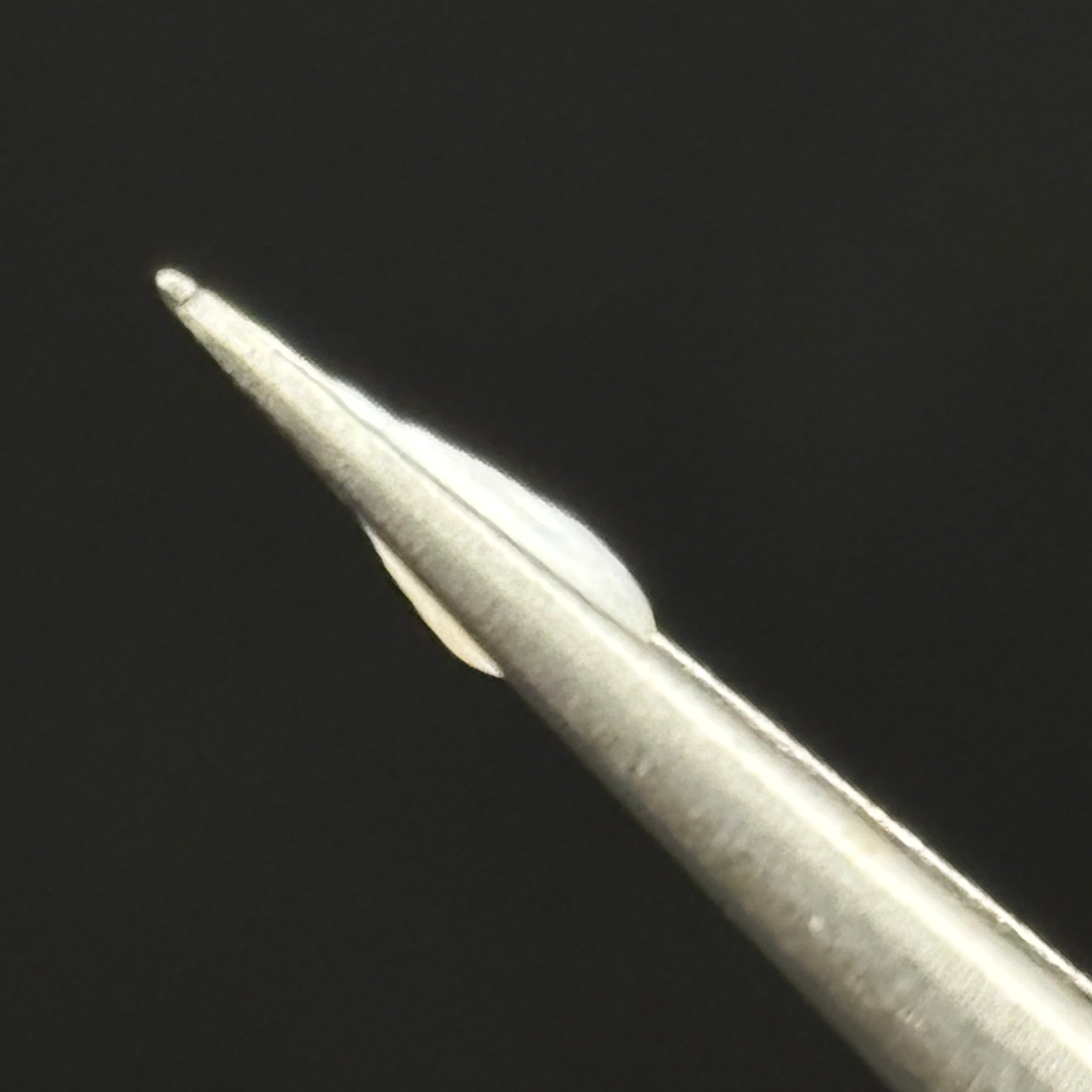 Wild Freshwater Pearl - 143