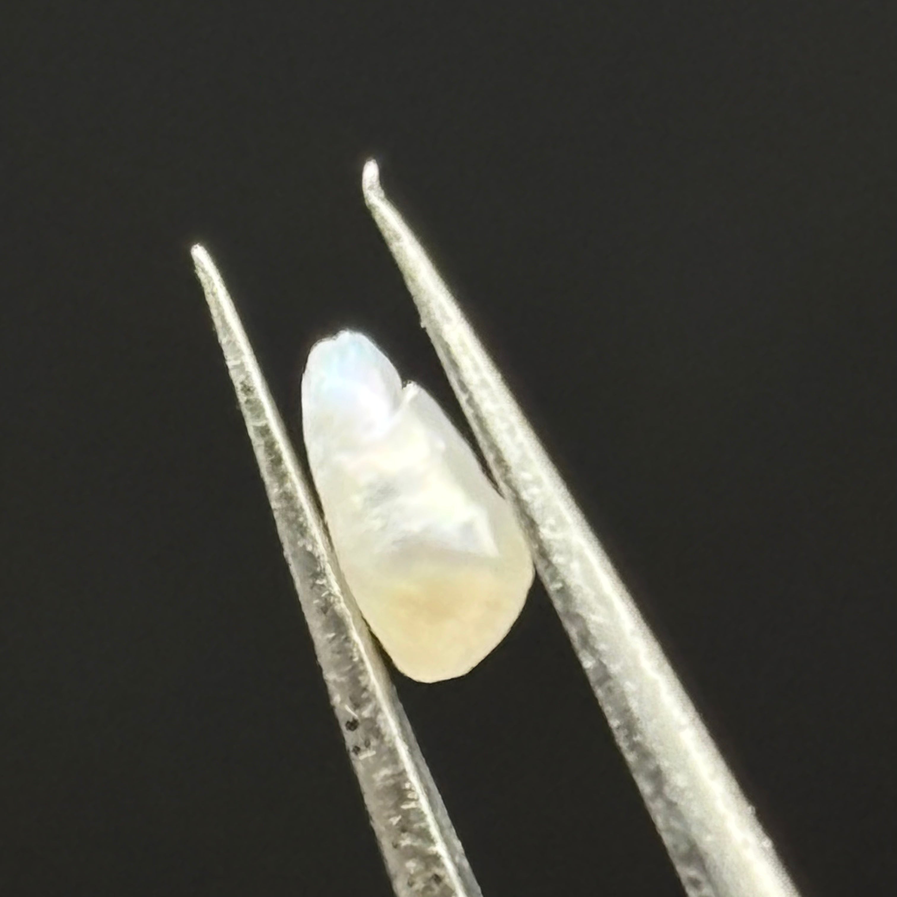 Wild Freshwater Pearl - 143