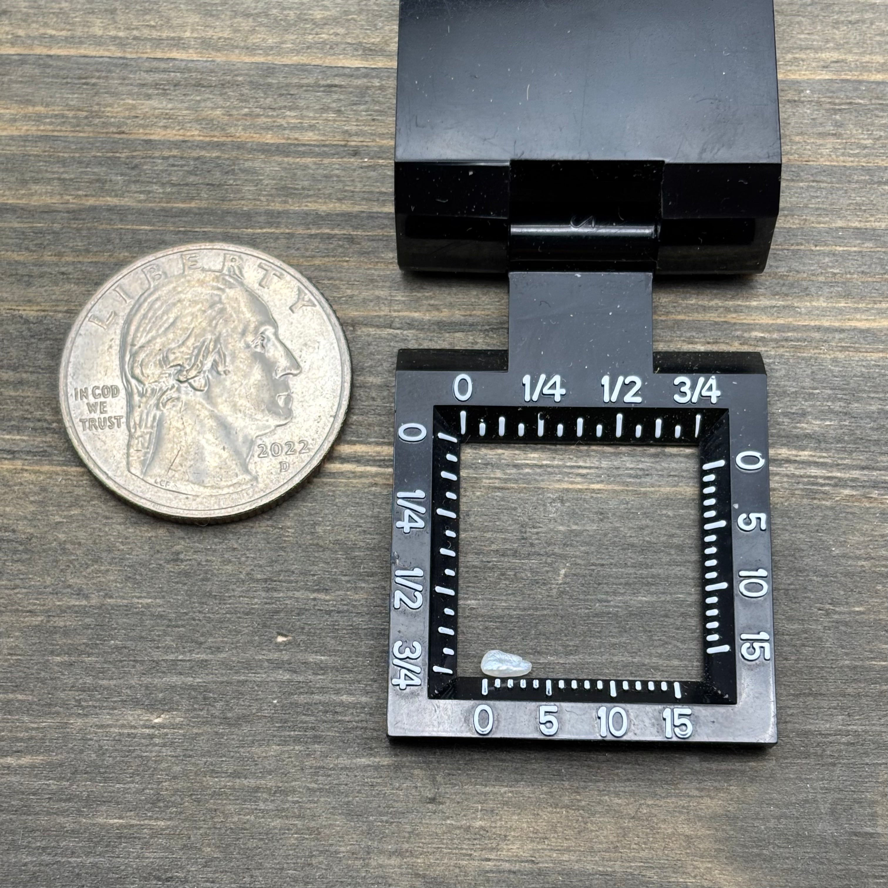 Wild Freshwater Pearl - 143