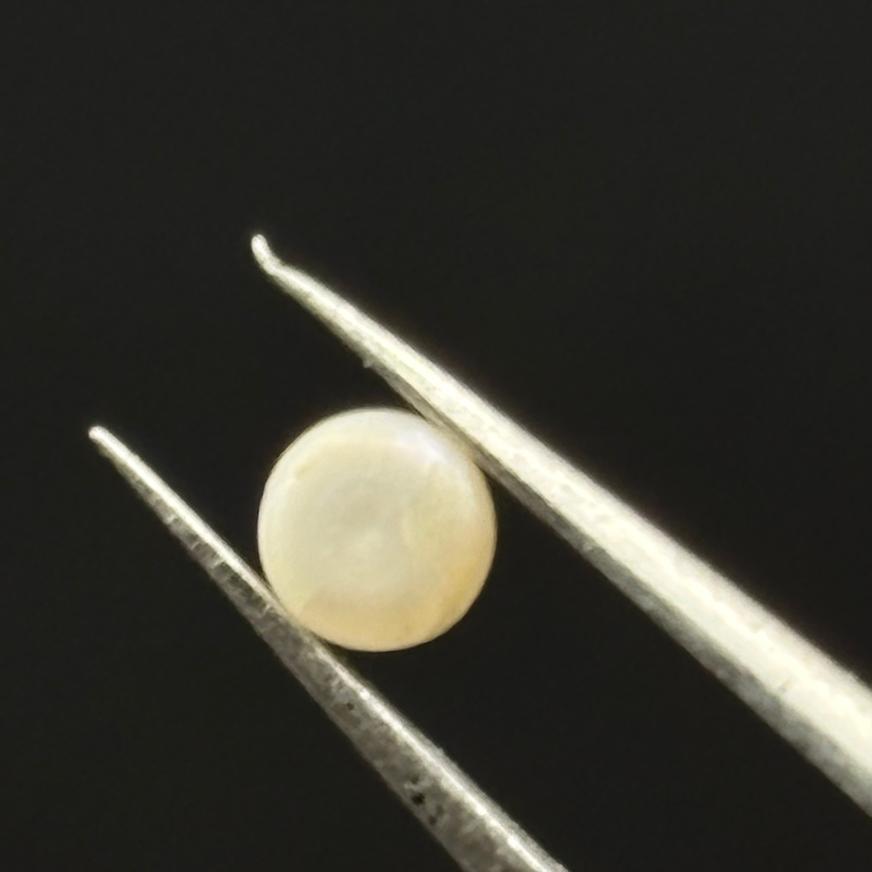 Wild Freshwater Pearl - 144