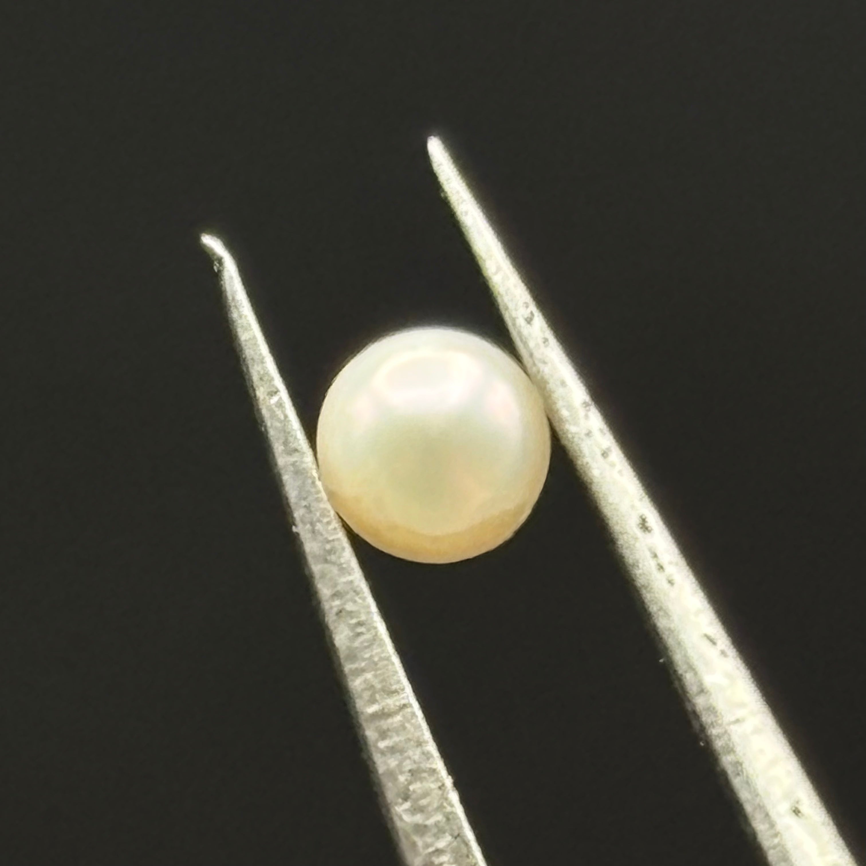 Wild Freshwater Pearl - 144