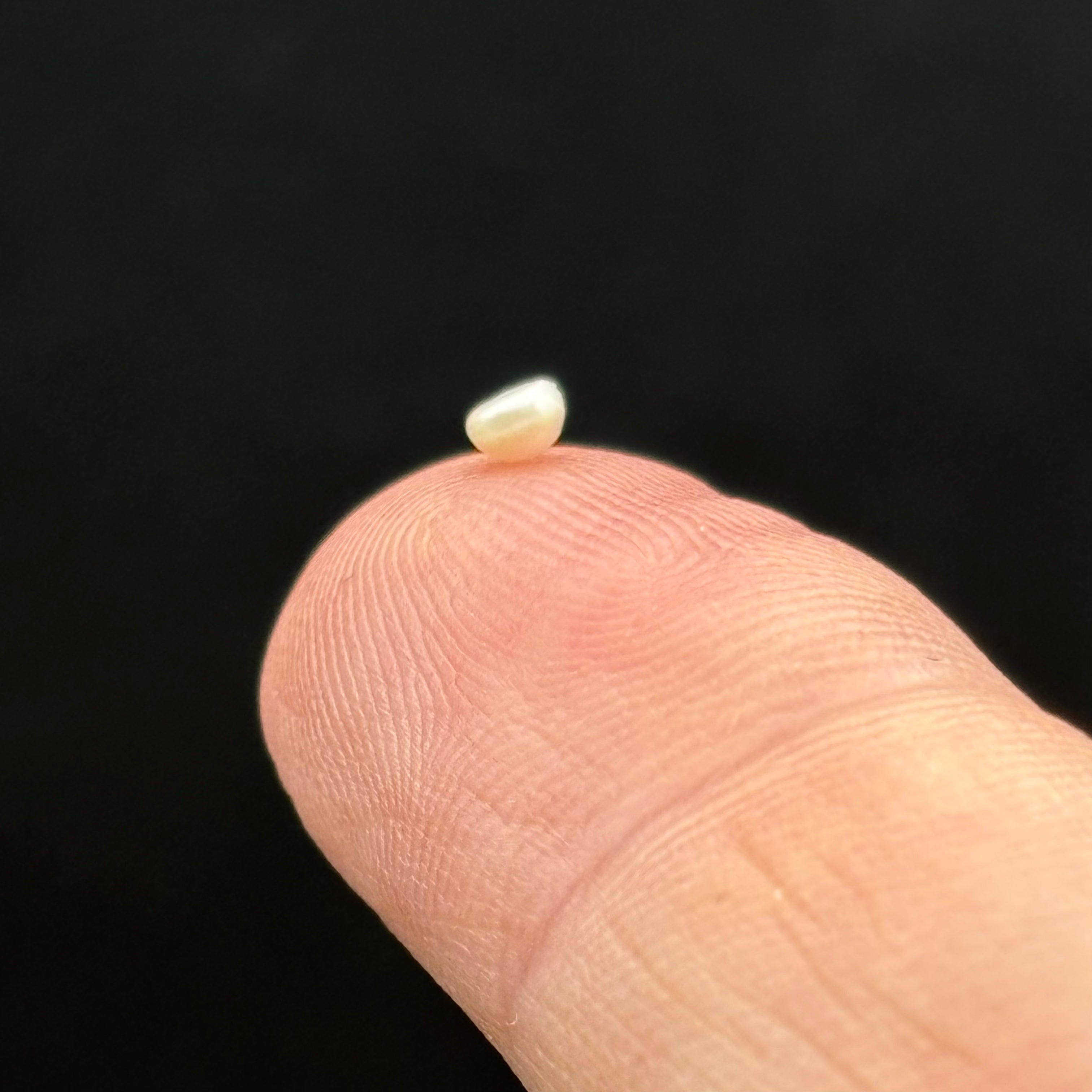 Wild Freshwater Pearl - 144