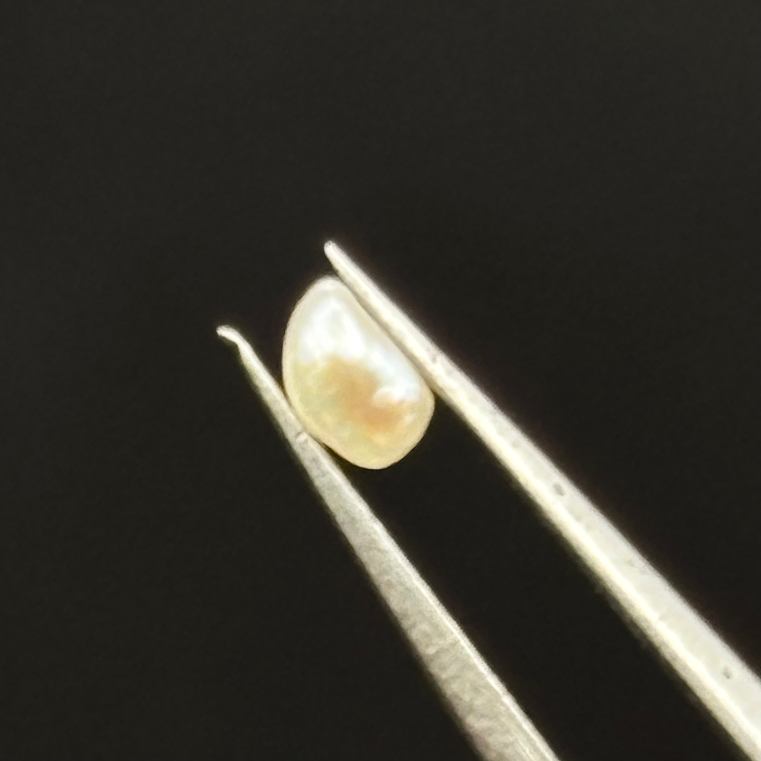 Wild Freshwater Pearl - 147