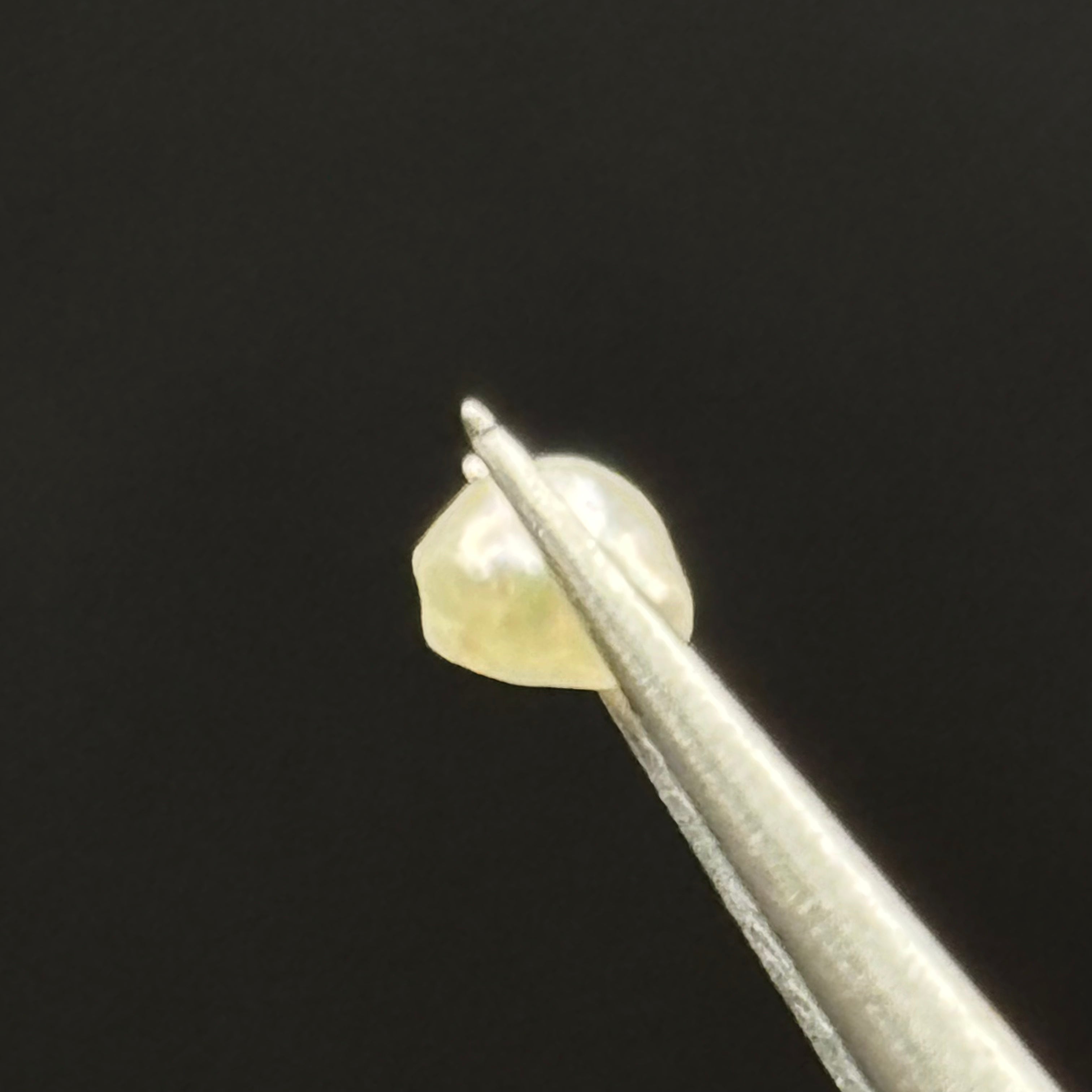 Wild Freshwater Pearl - 147