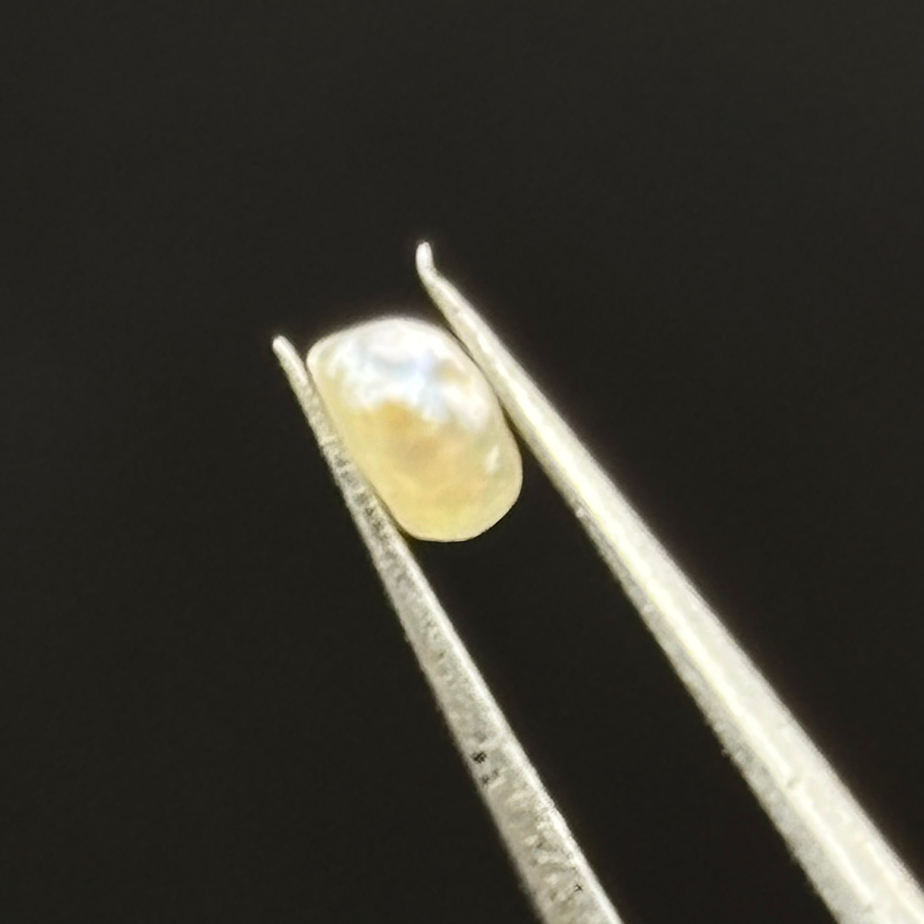 Wild Freshwater Pearl - 147
