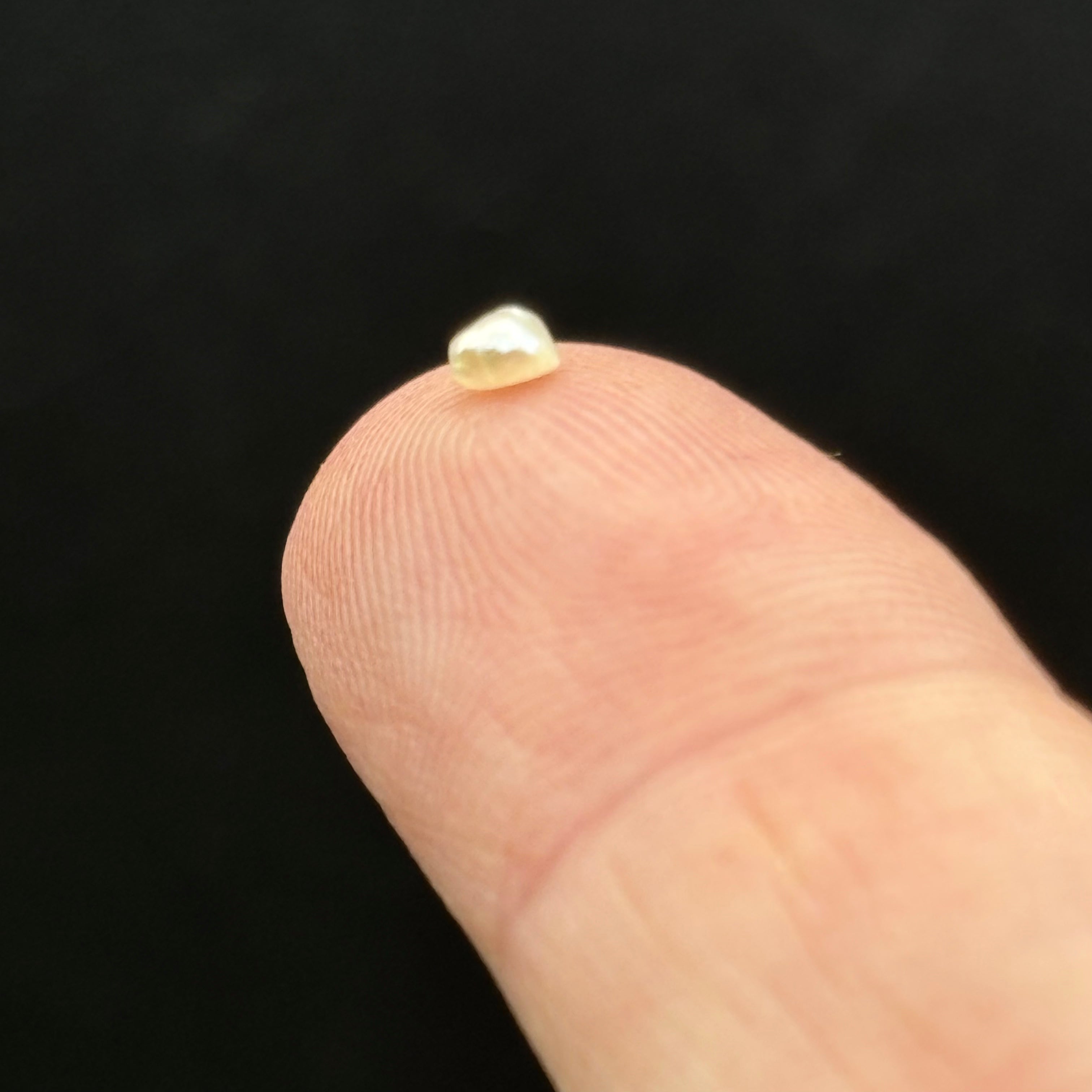 Wild Freshwater Pearl - 147
