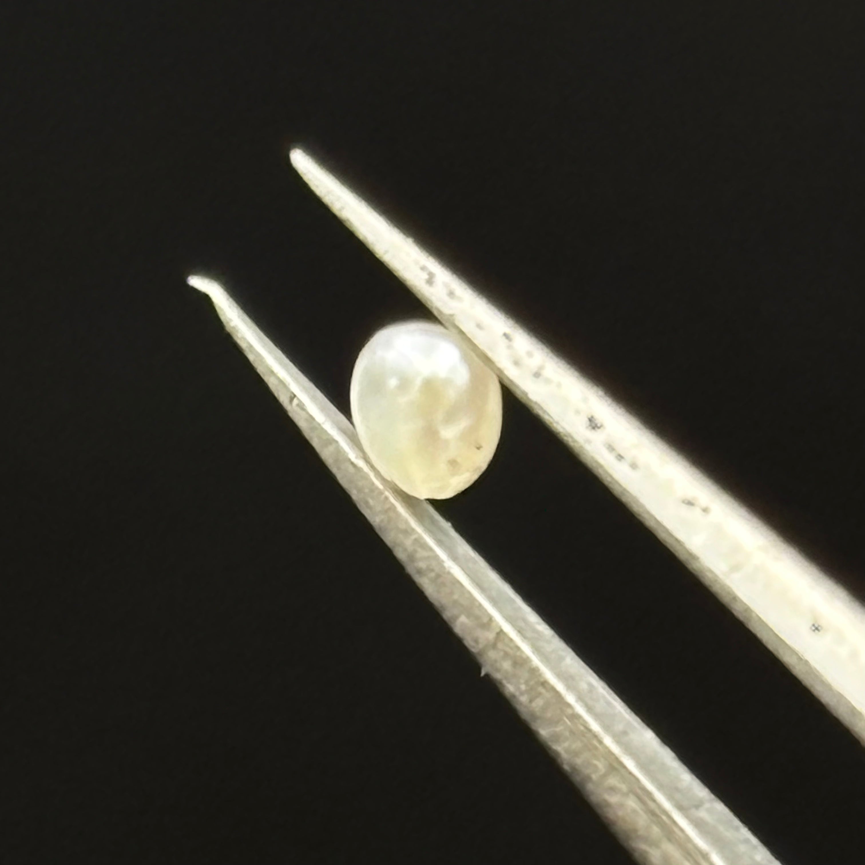 Wild Freshwater Pearl - 148