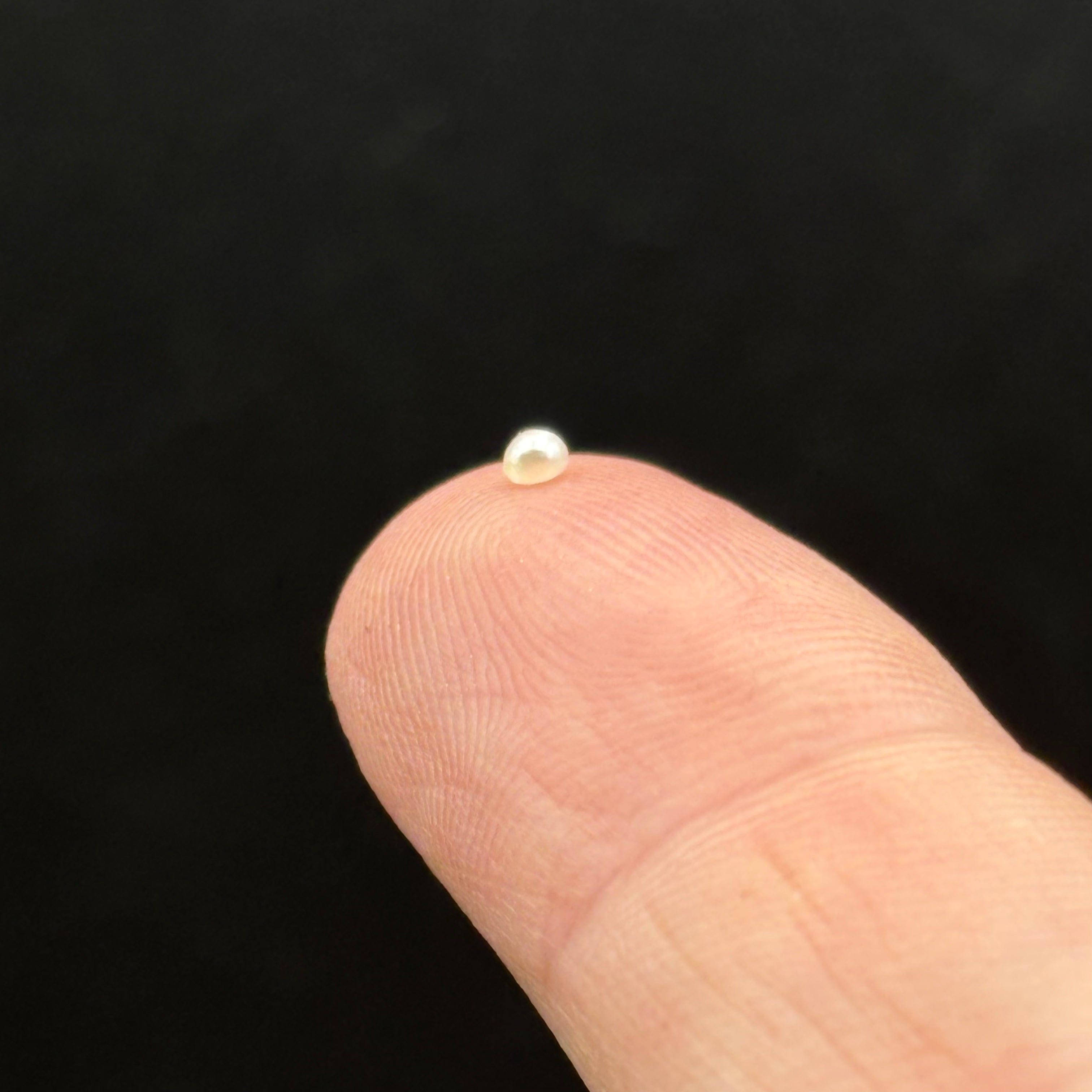 Wild Freshwater Pearl - 148