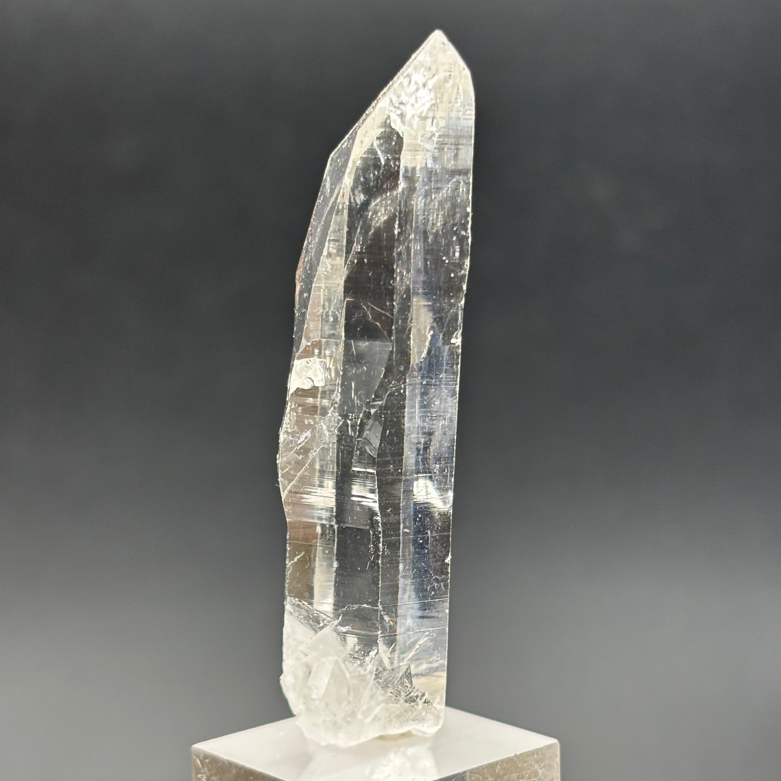 Himalayan Master Healer Quartz - 242