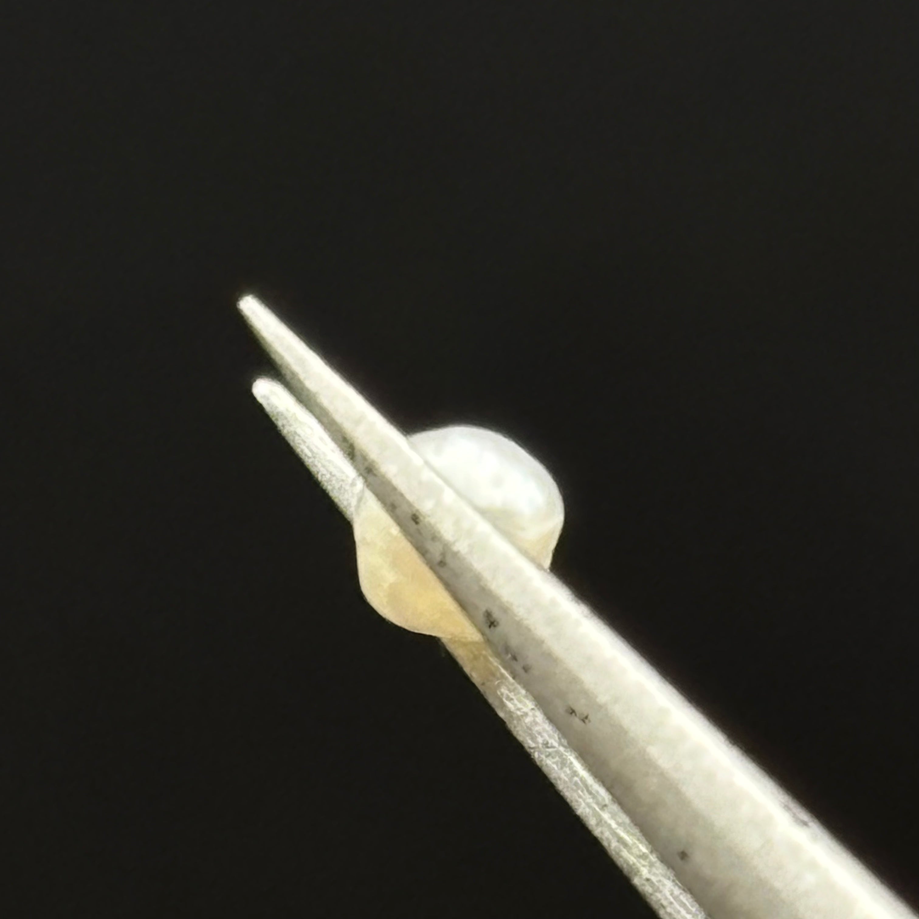 Wild Freshwater Pearl - 154