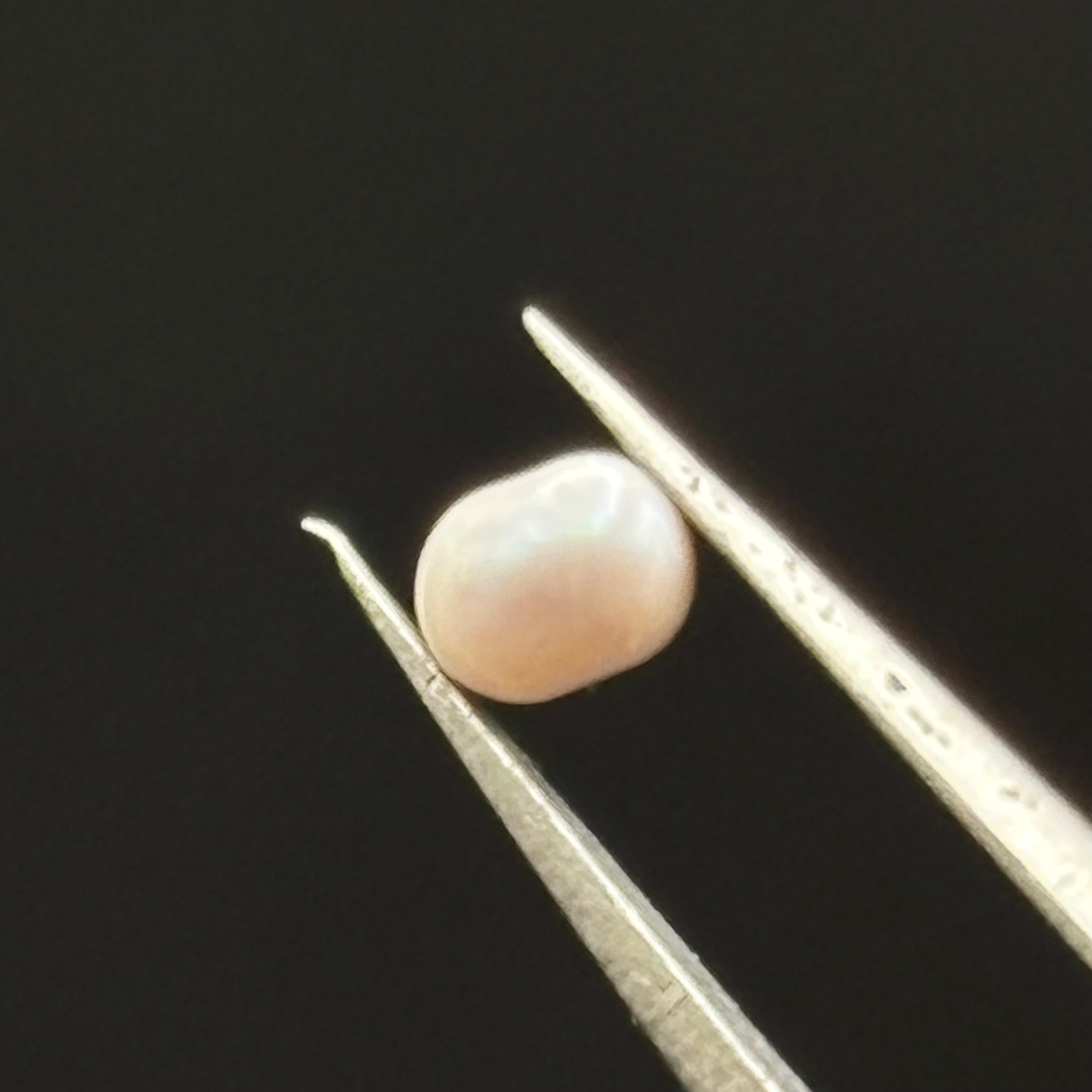 Wild Freshwater Pearl - 155