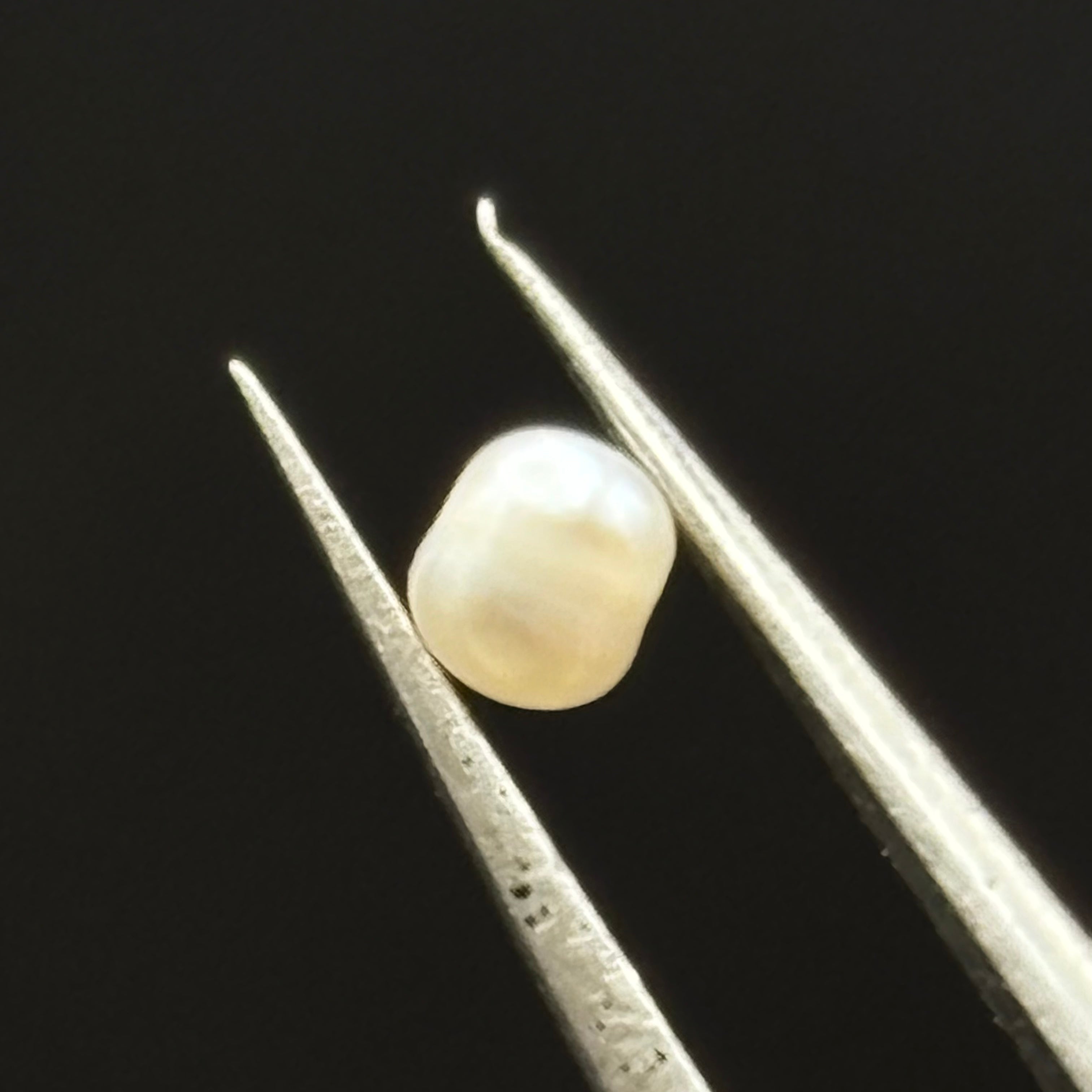 Wild Freshwater Pearl - 158