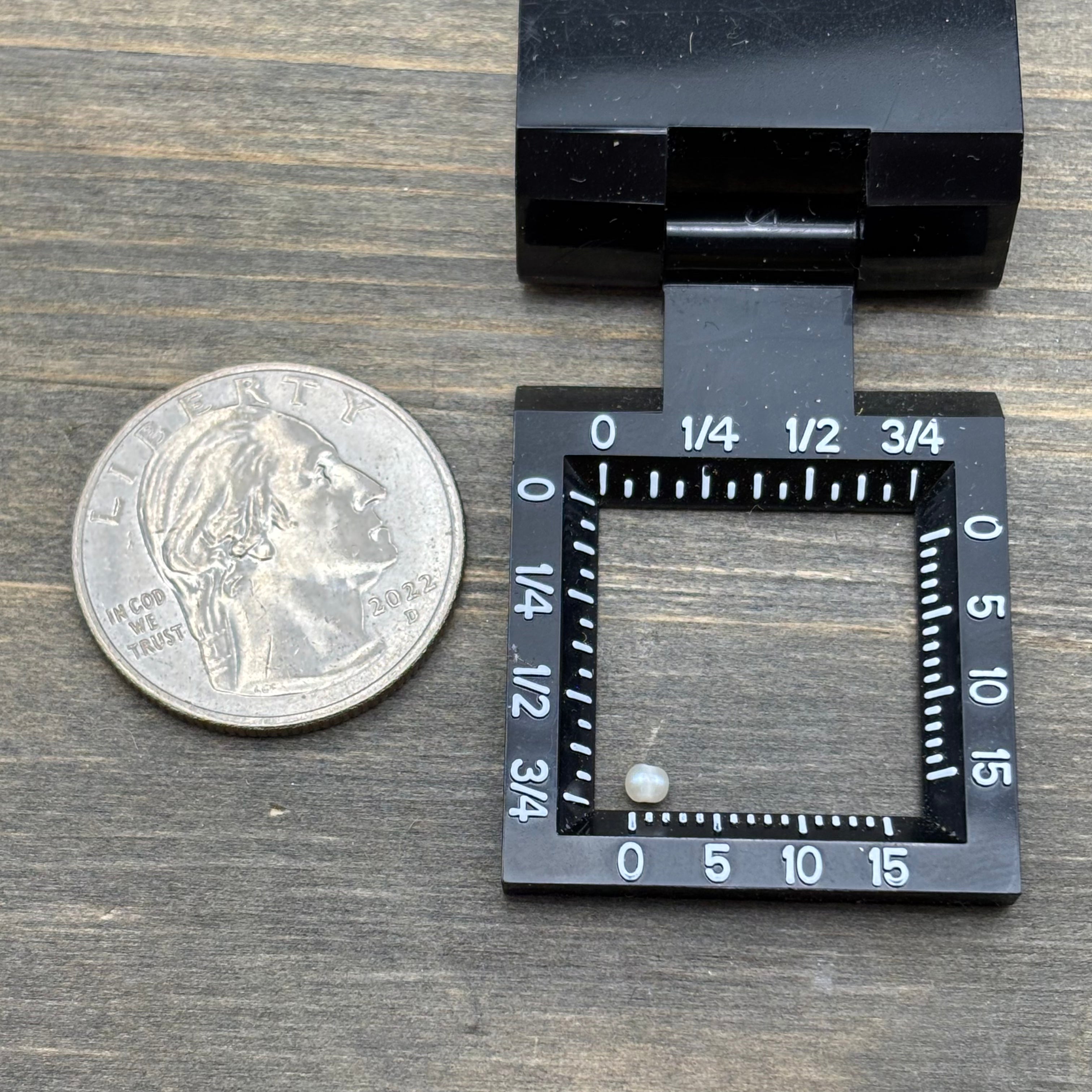 Wild Freshwater Pearl - 158