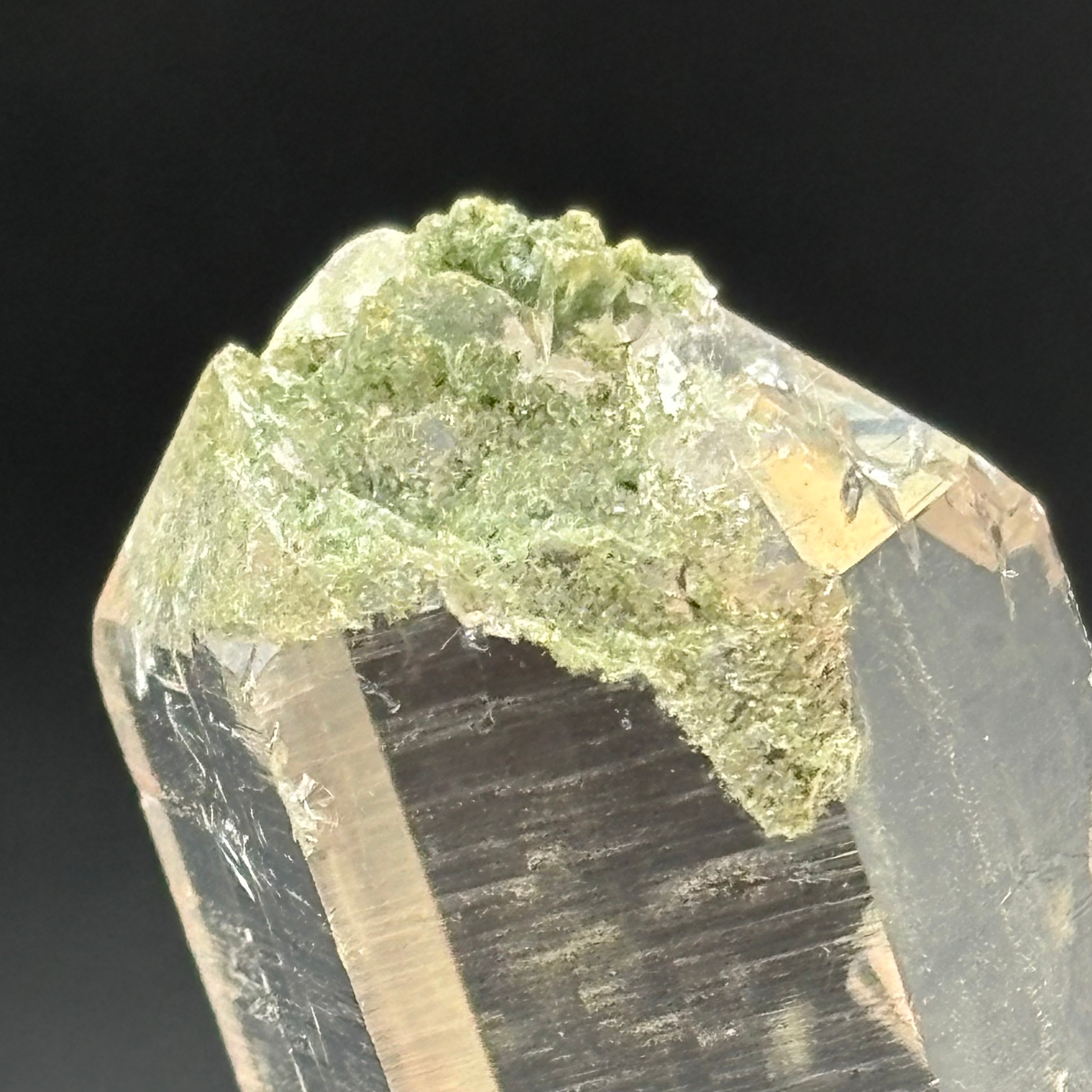 Himalayan Master Healer Quartz - 248