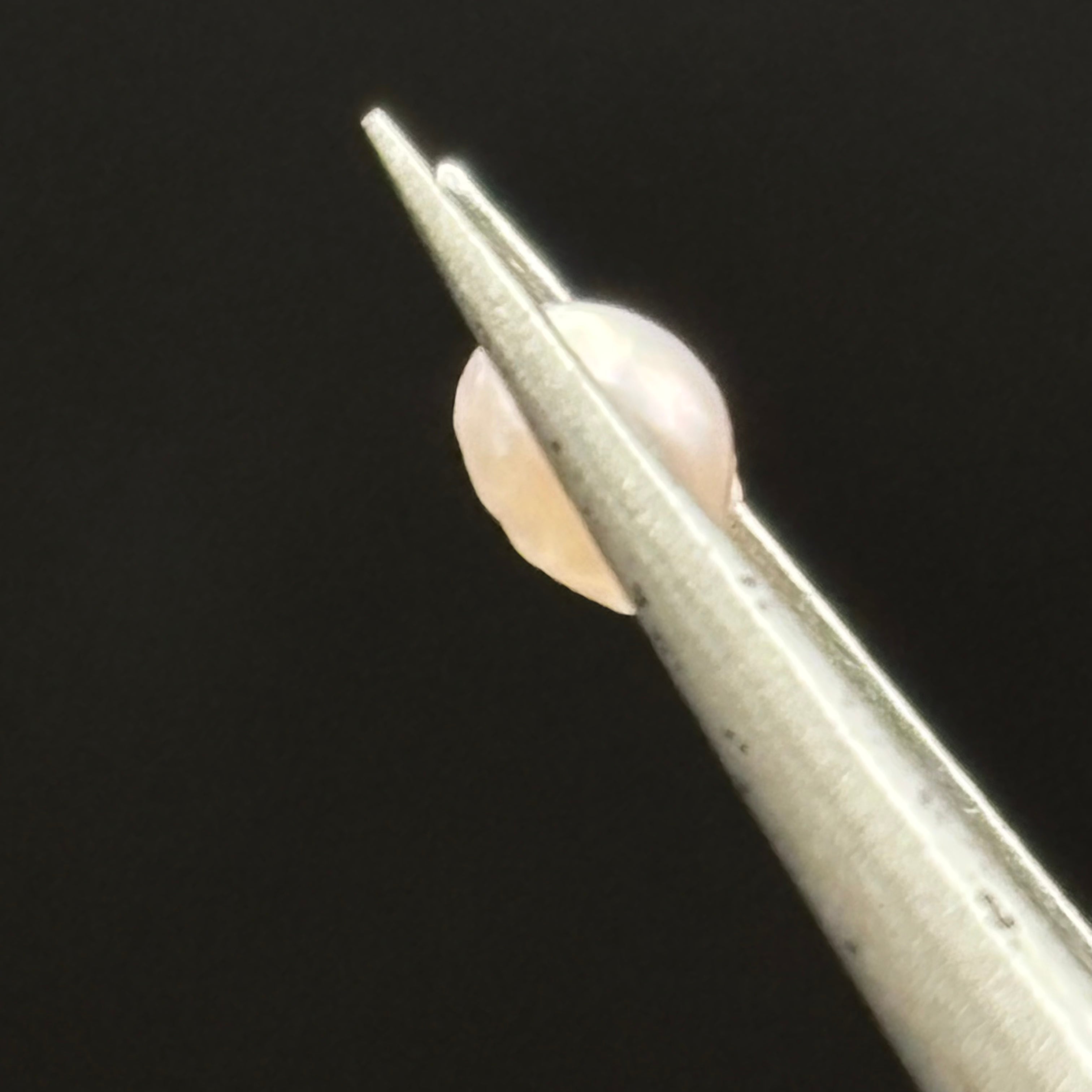 Wild Freshwater Pearl - 160