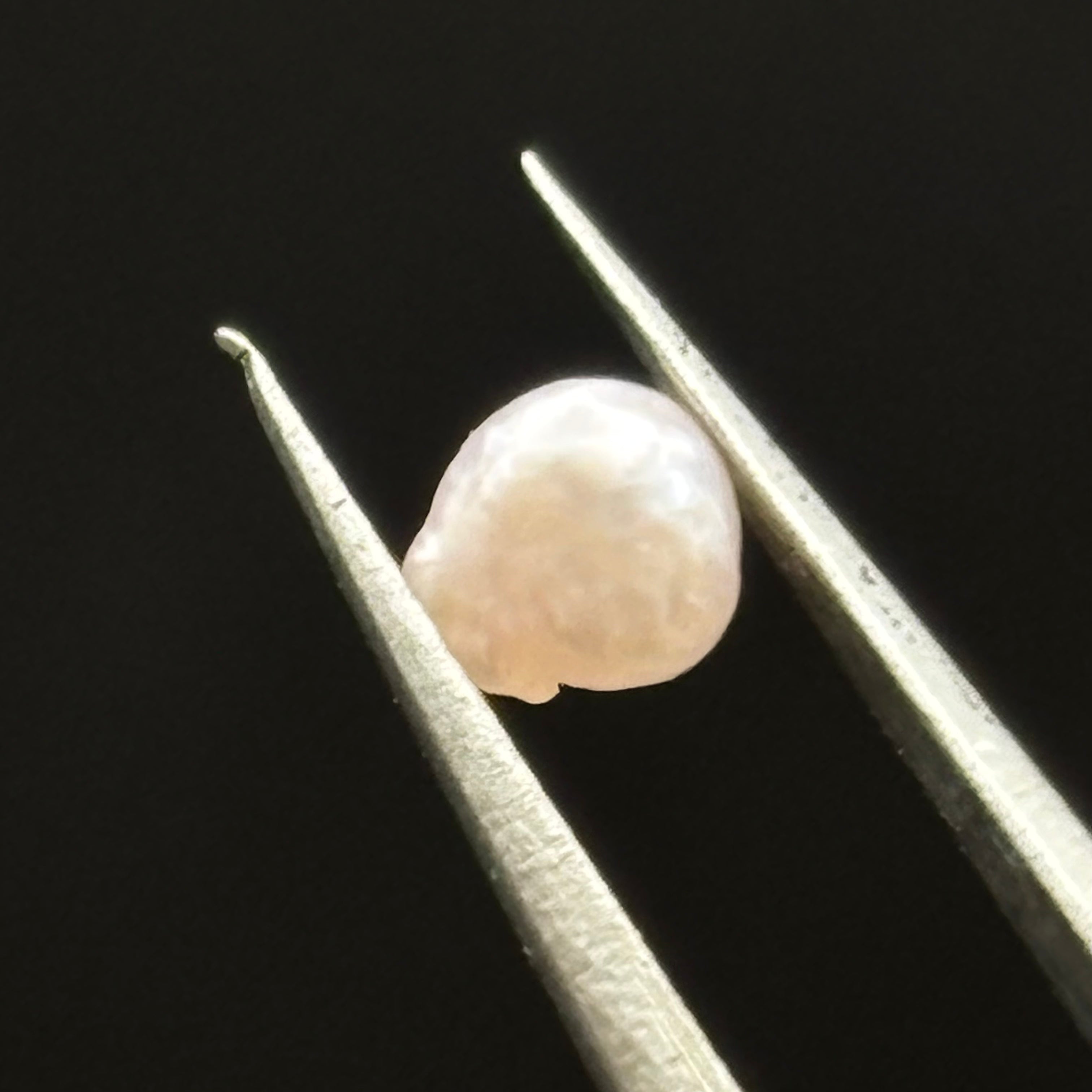 Wild Freshwater Pearl - 160