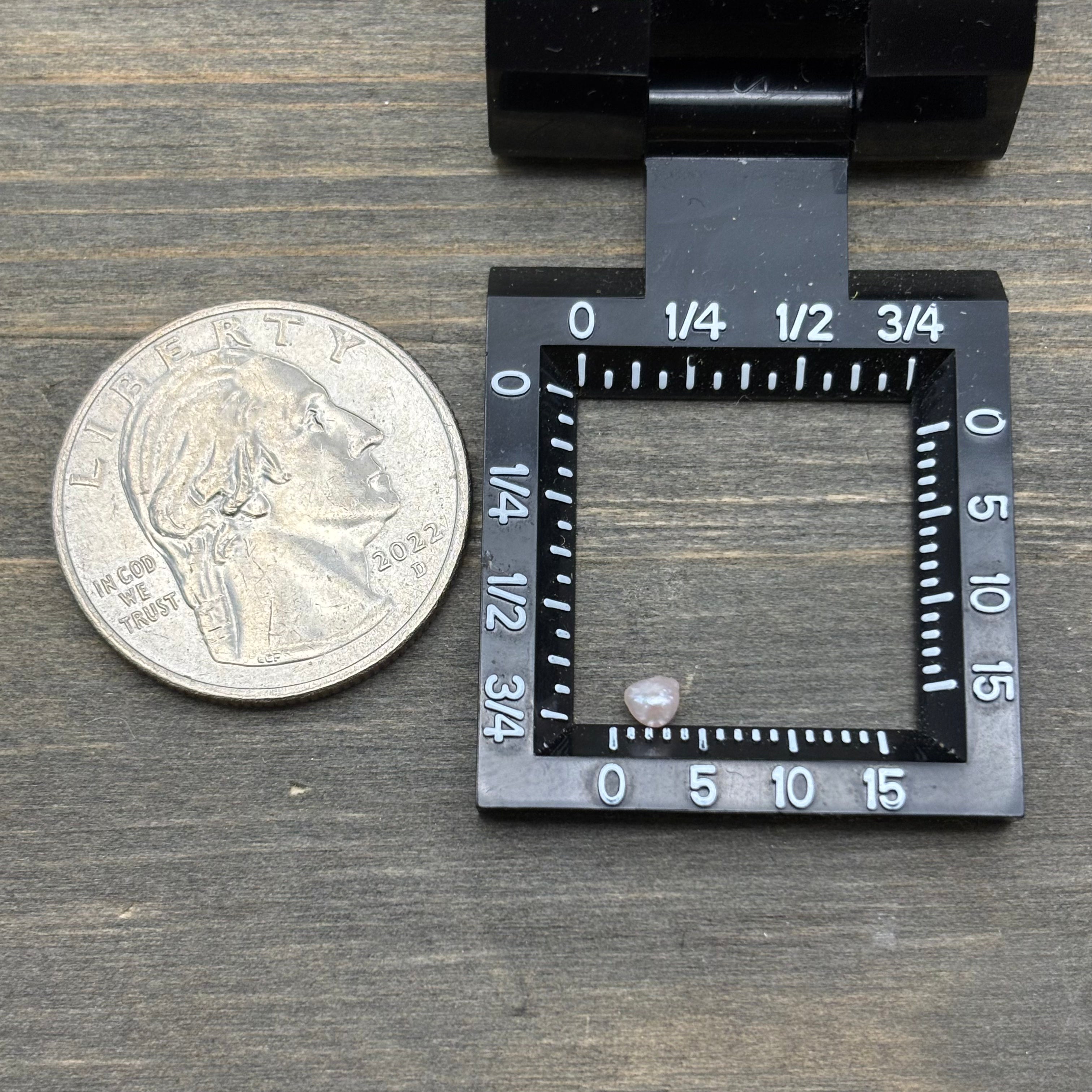 Wild Freshwater Pearl - 160