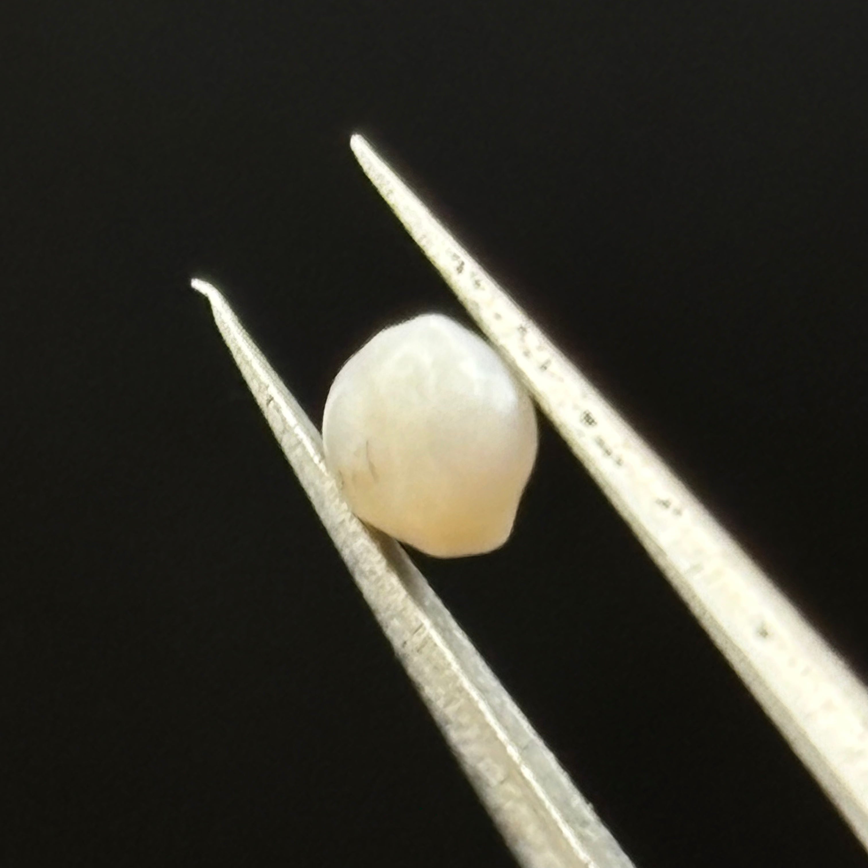 Wild Freshwater Pearl - 164