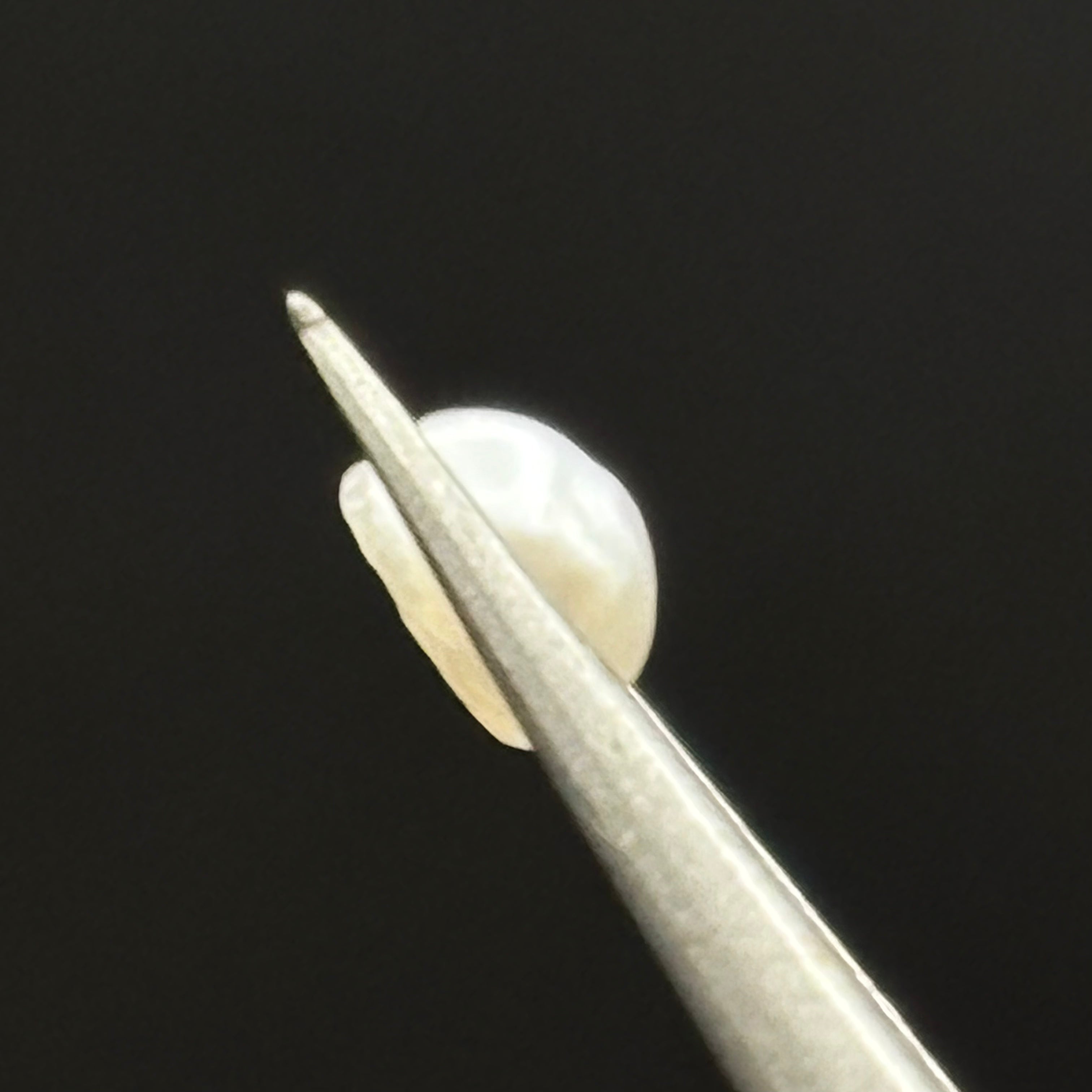 Wild Freshwater Pearl - 166