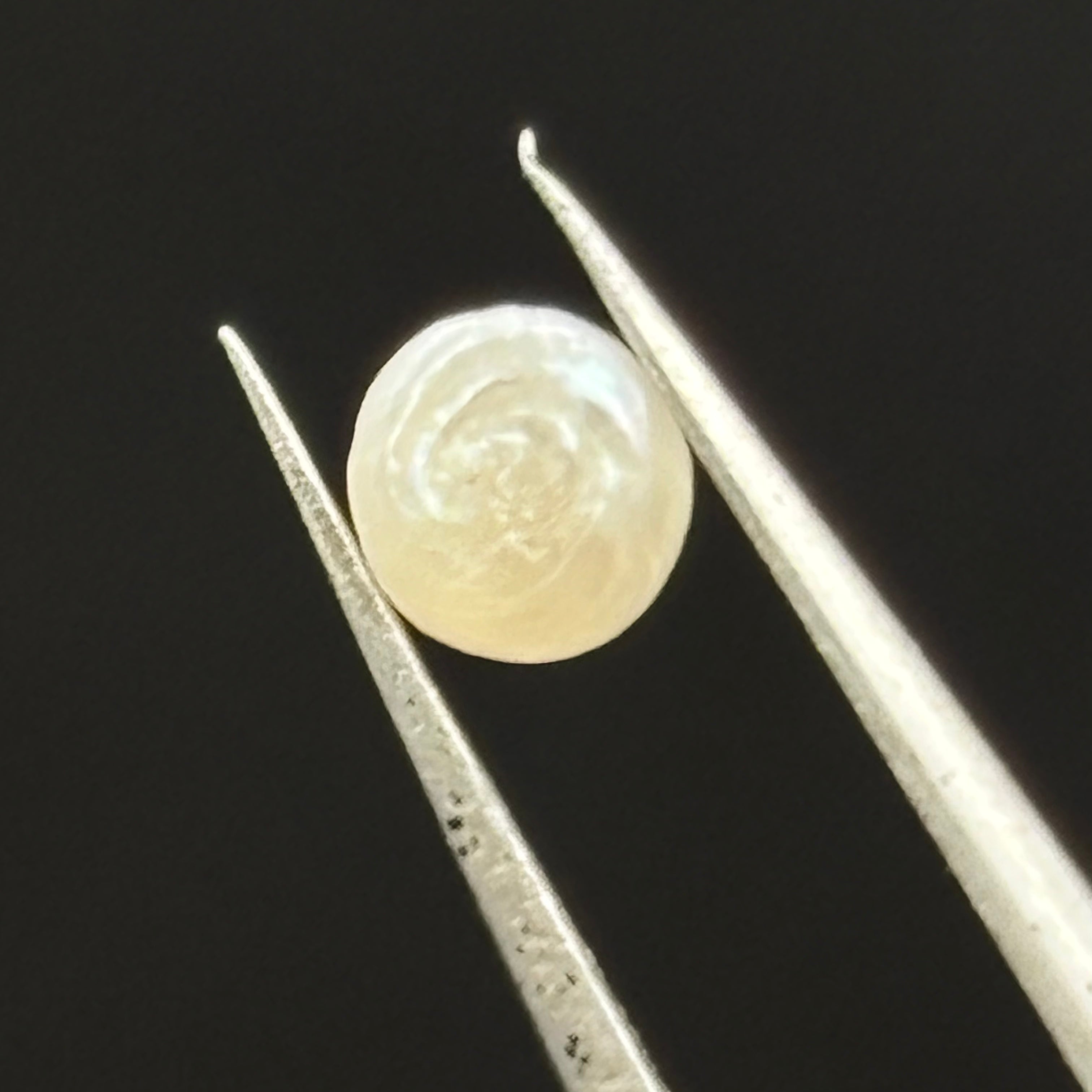 Wild Freshwater Pearl - 166