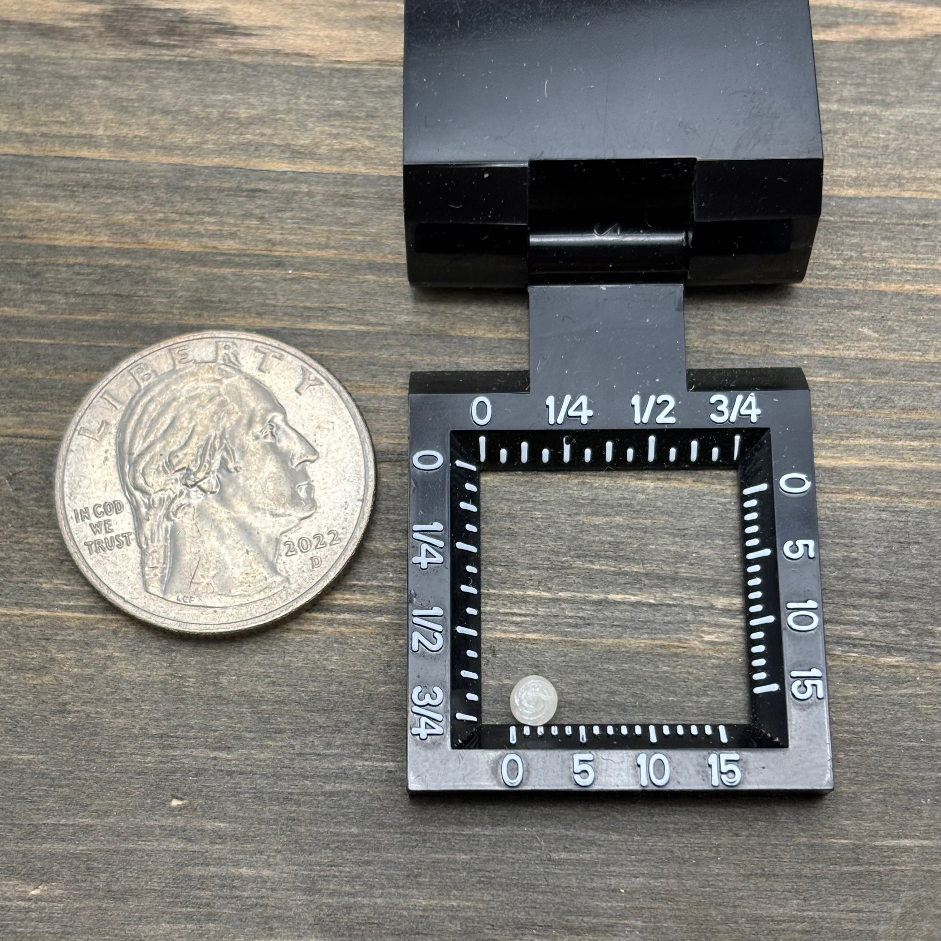 Wild Freshwater Pearl - 166