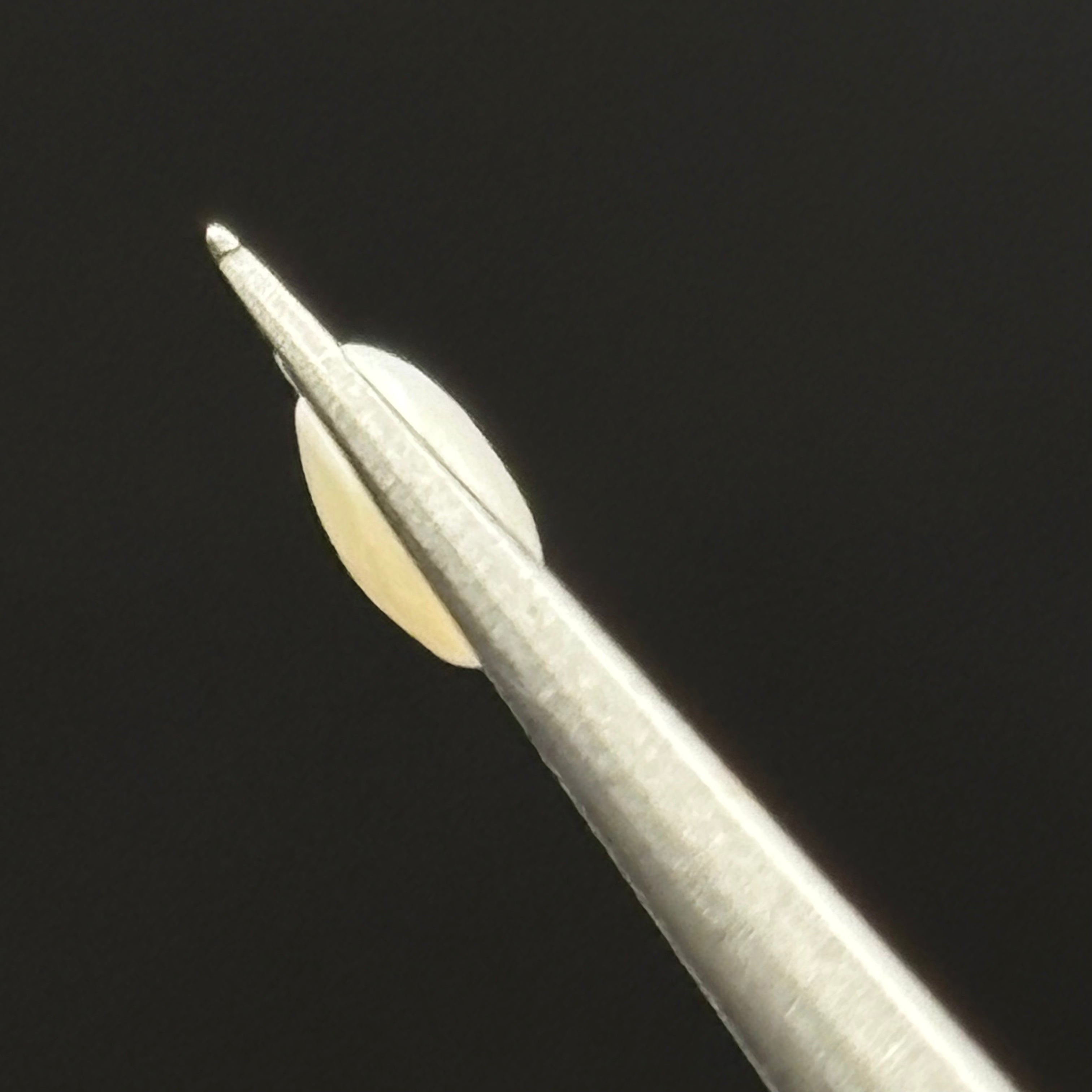 Wild Freshwater Pearl - 168