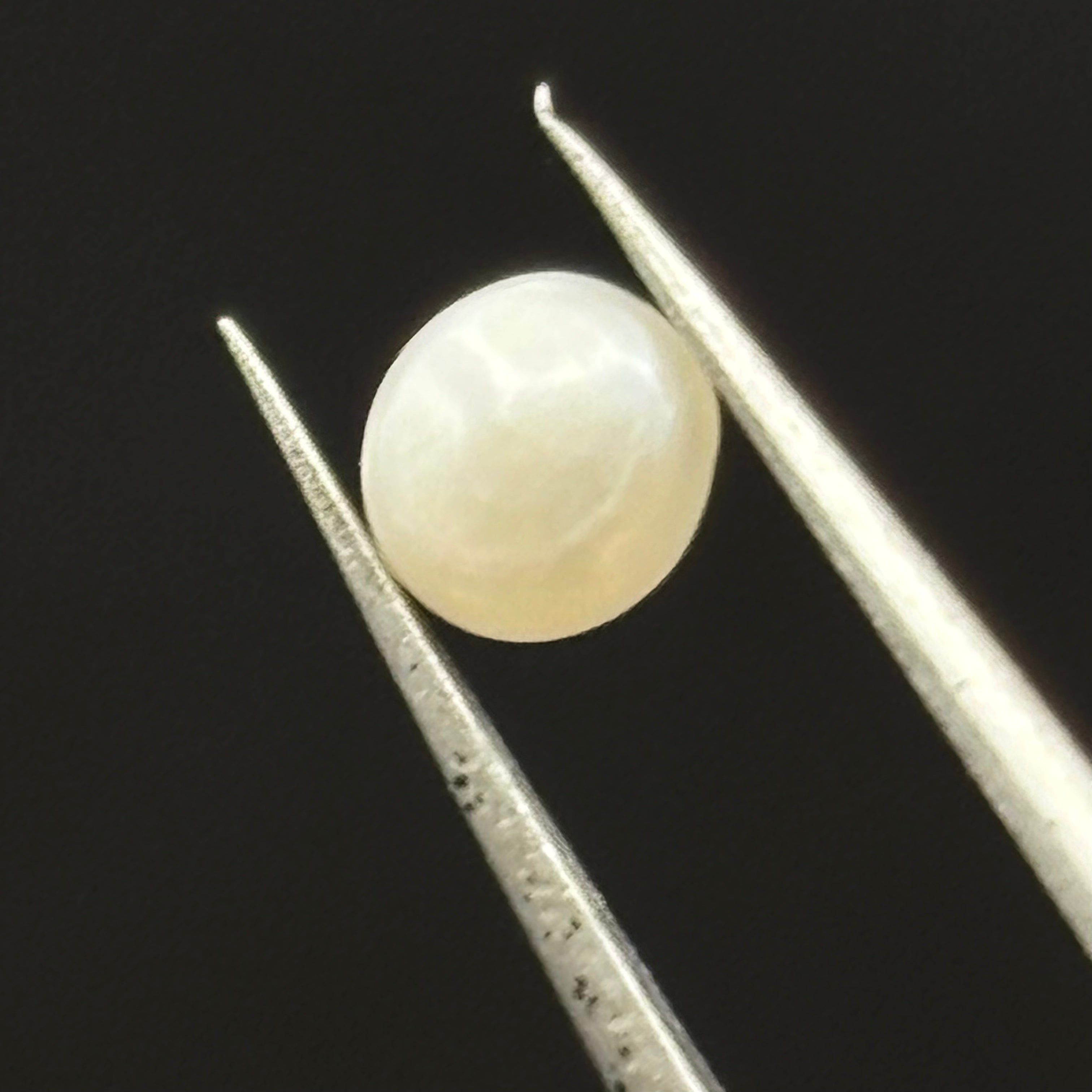 Wild Freshwater Pearl - 168