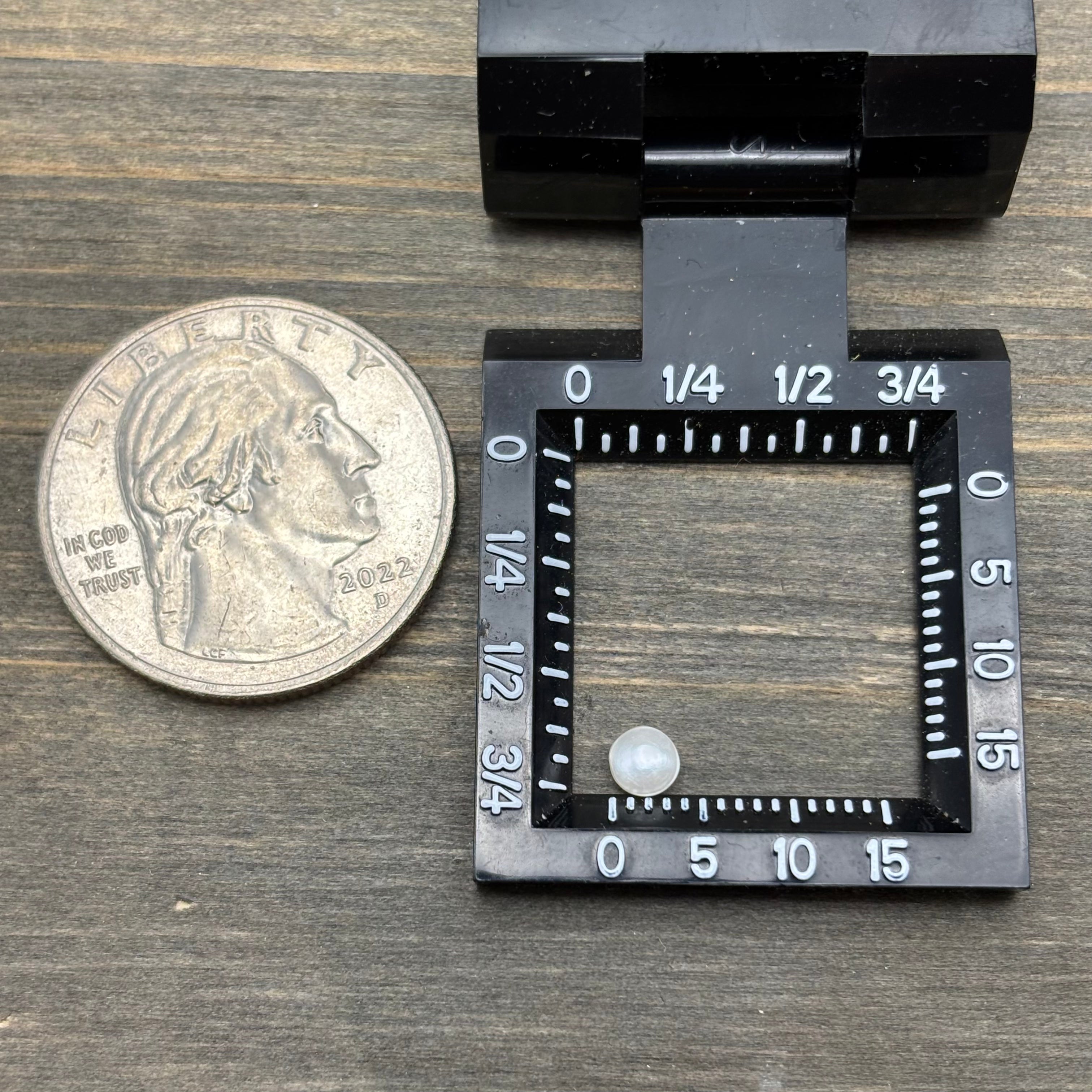 Wild Freshwater Pearl - 168