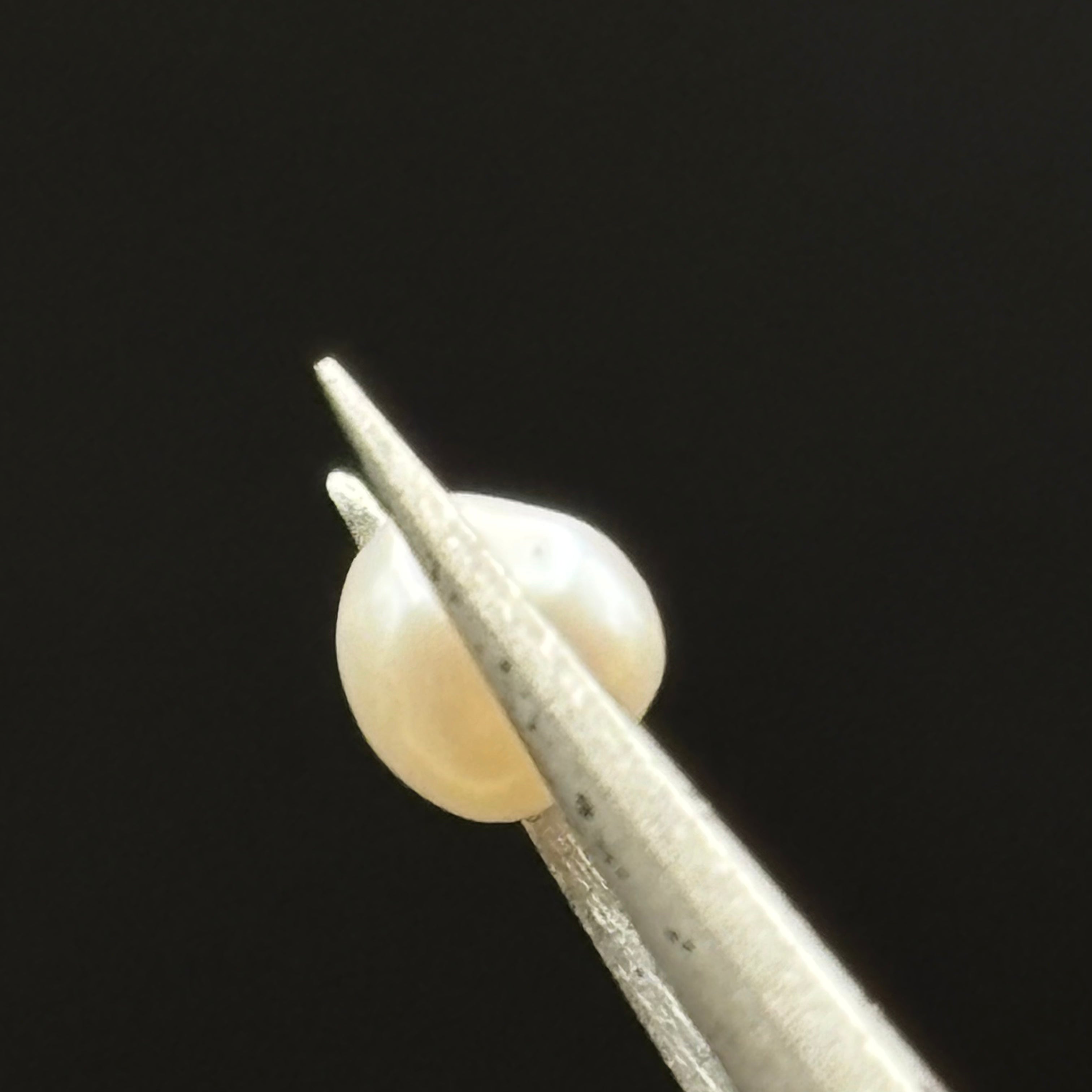 Wild Freshwater Pearl - 169