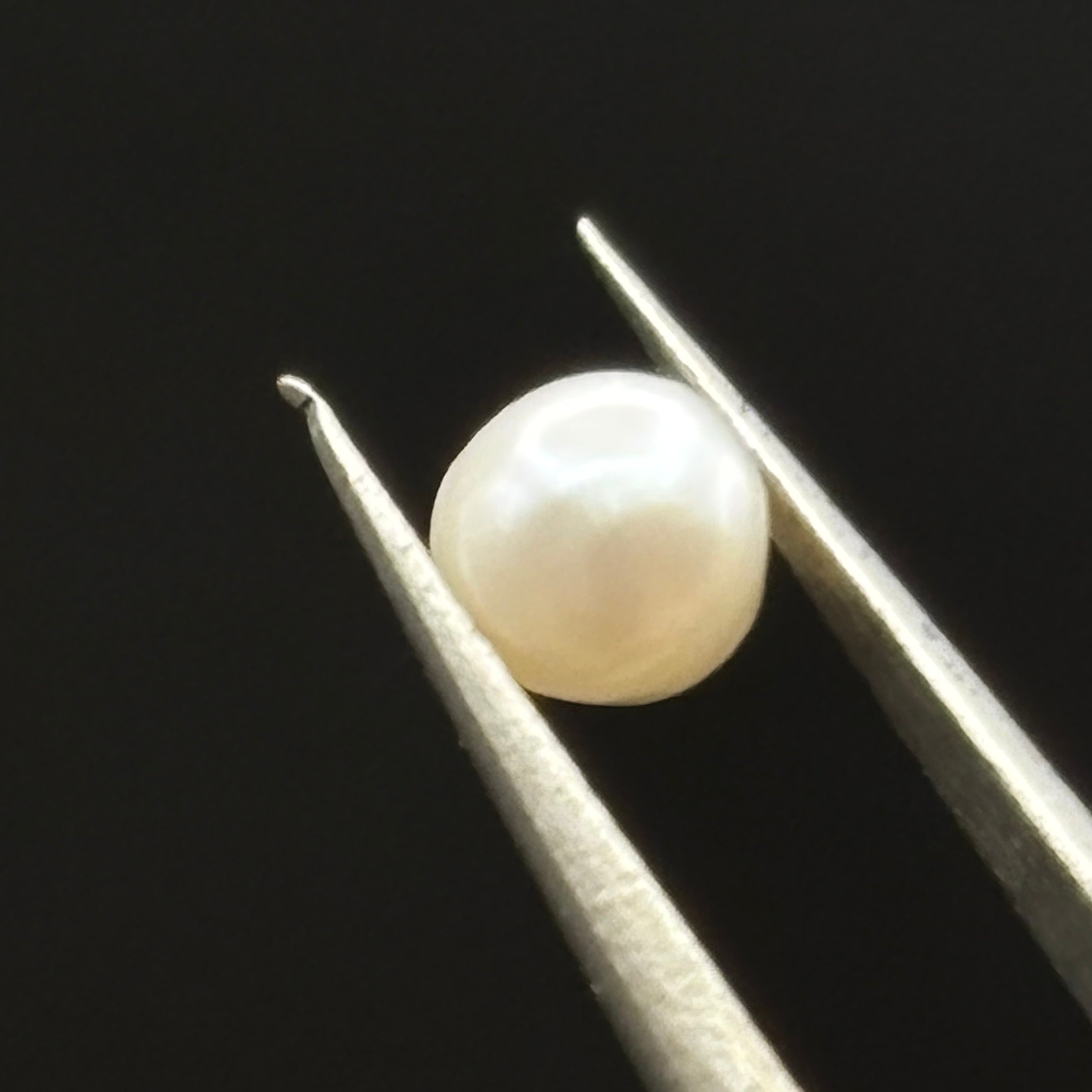 Wild Freshwater Pearl - 169