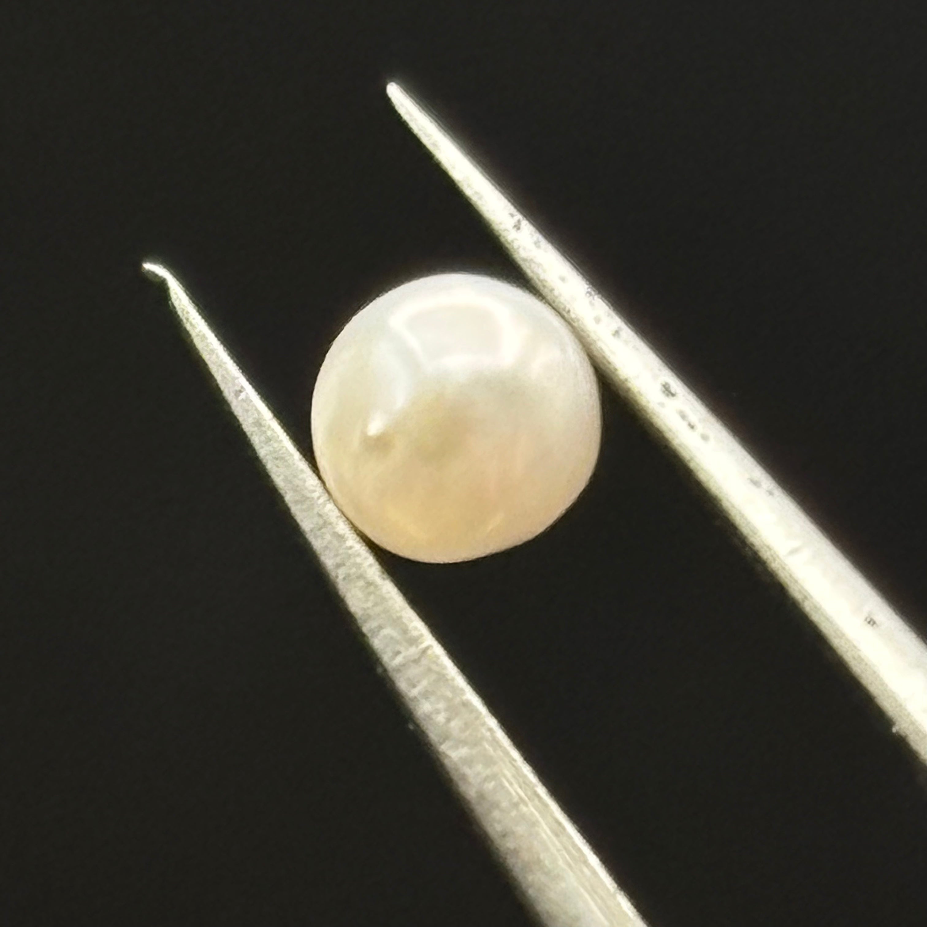 Wild Freshwater Pearl - 170