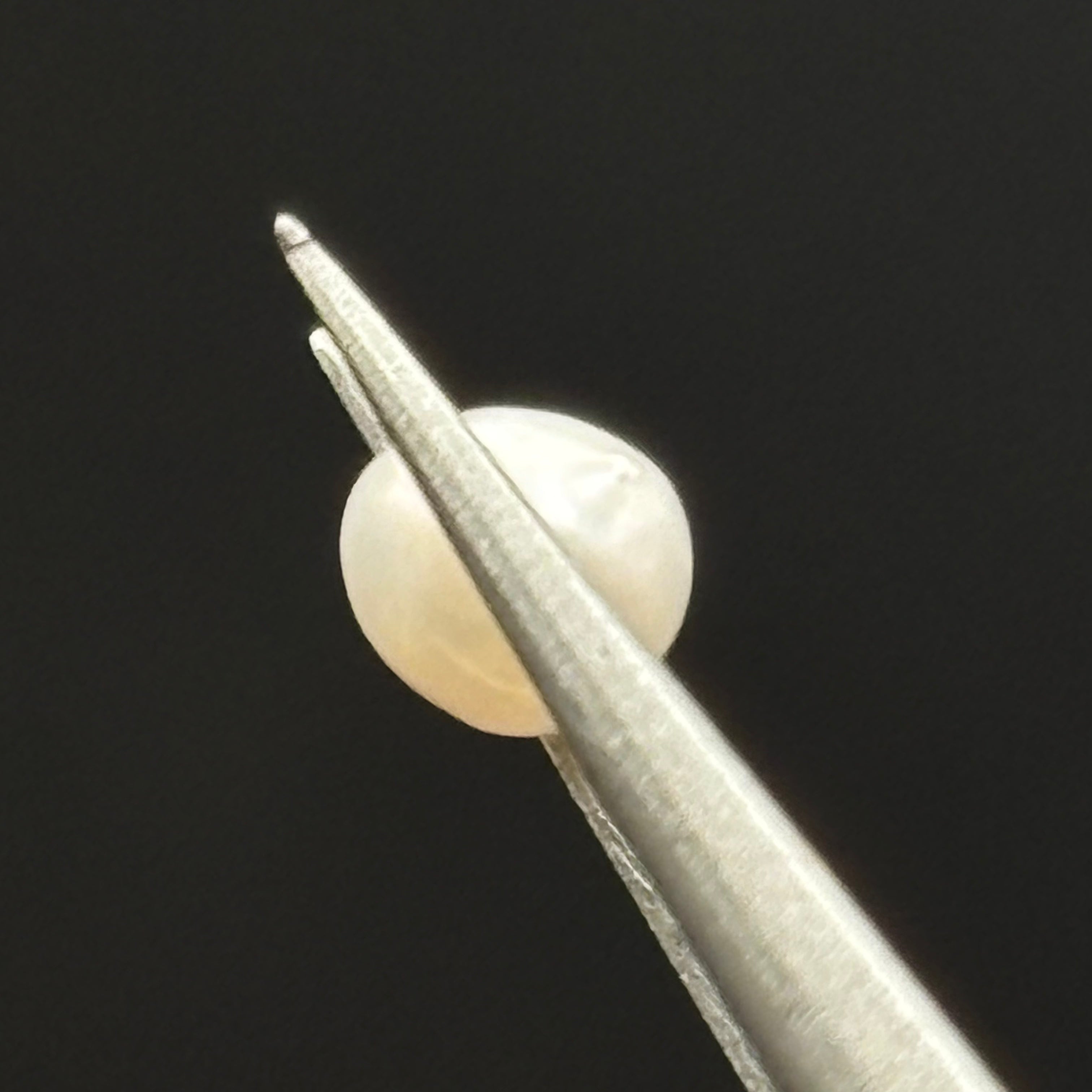 Wild Freshwater Pearl - 170