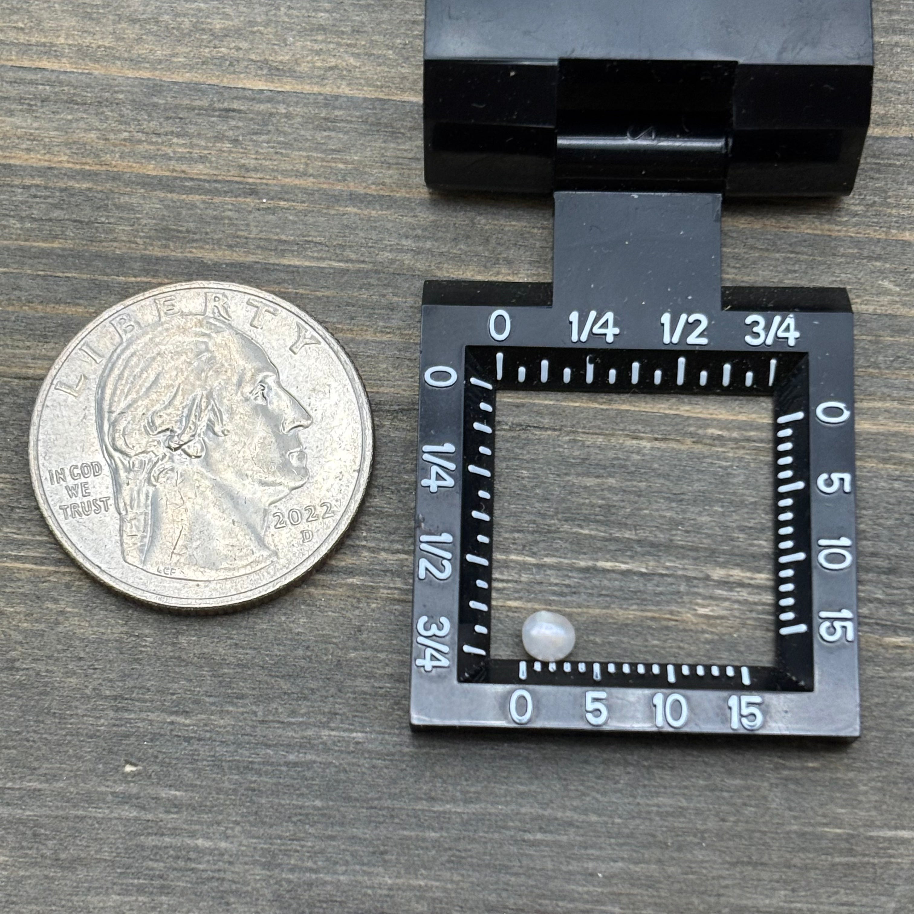 Wild Freshwater Pearl - 170