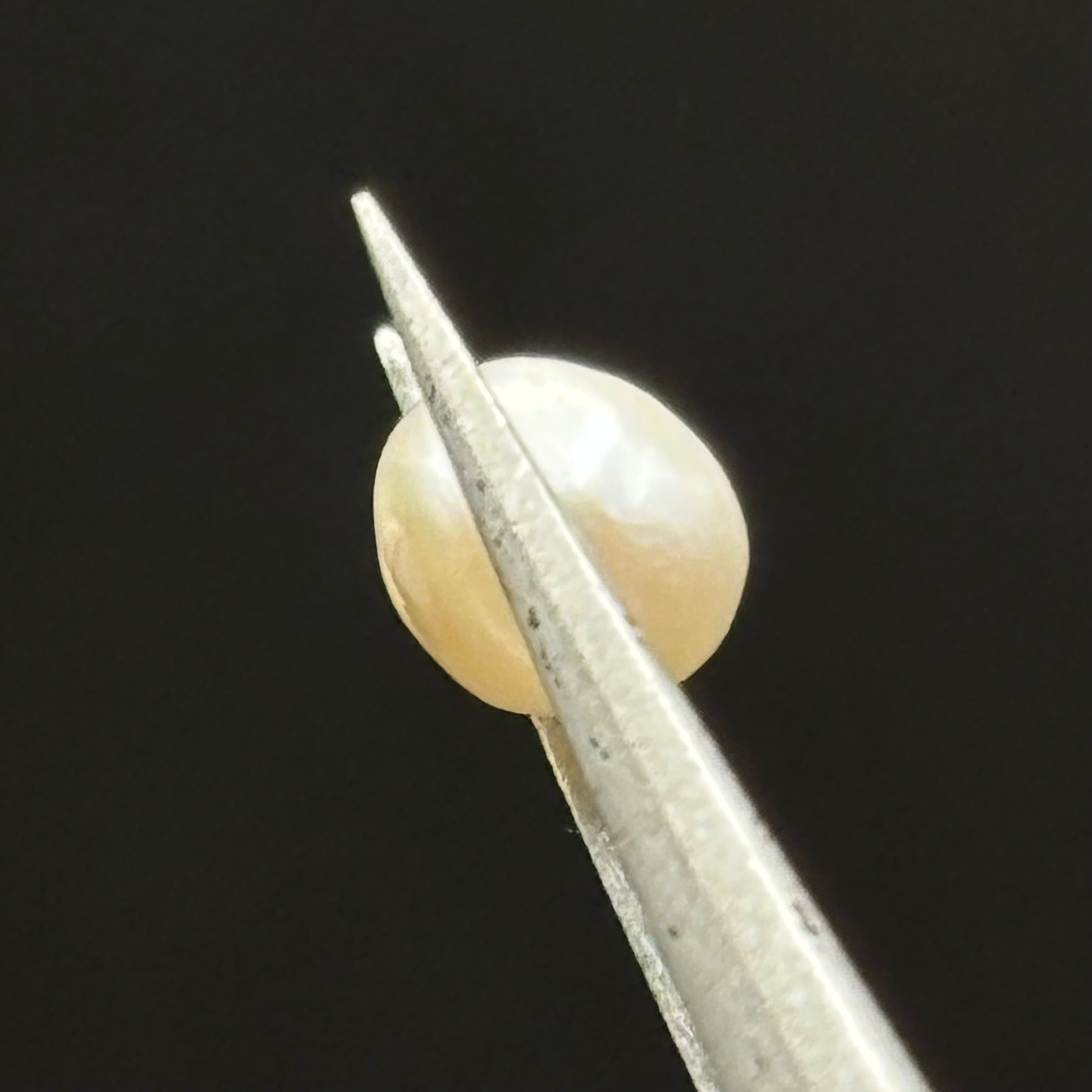 Wild Freshwater Pearl - 172