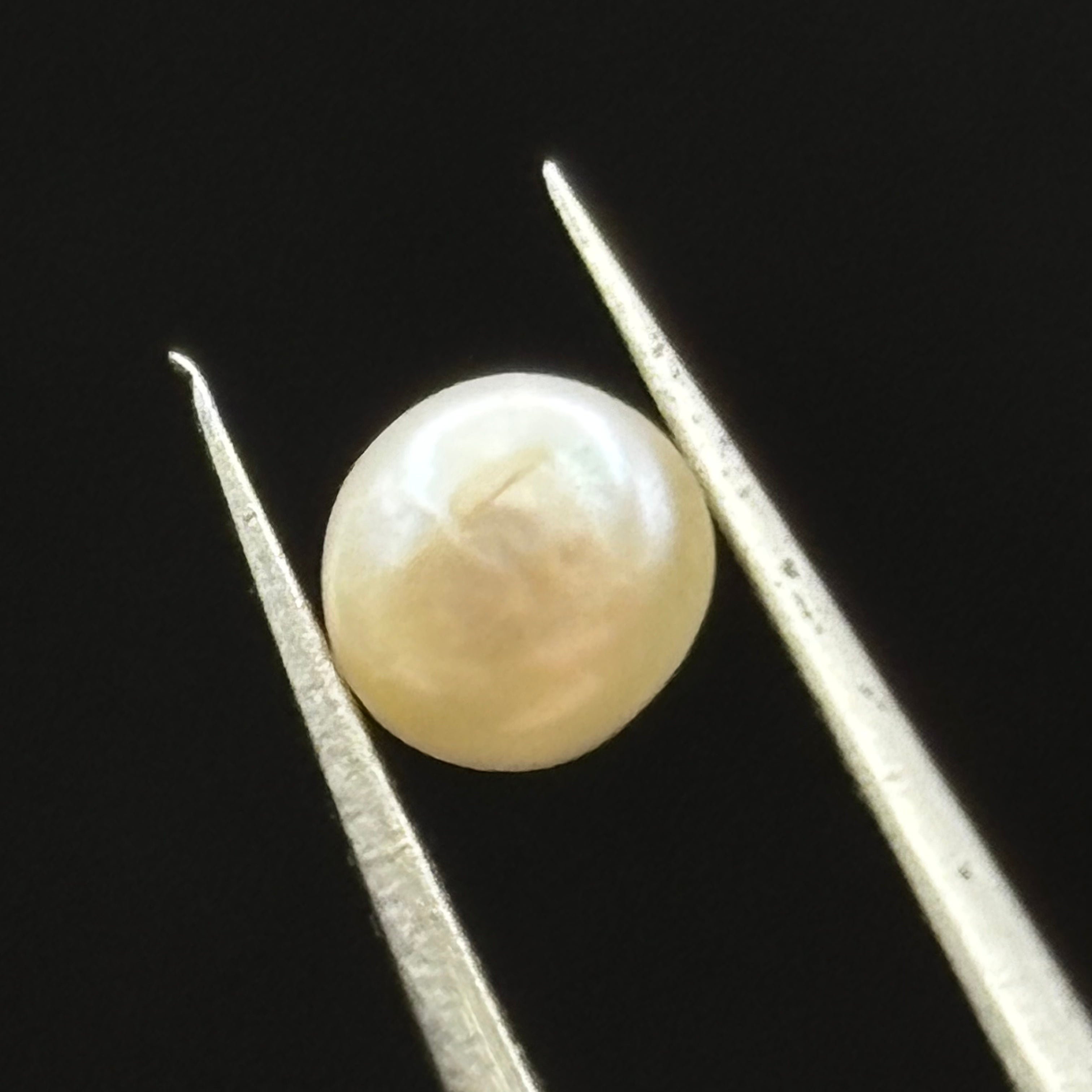 Wild Freshwater Pearl - 172